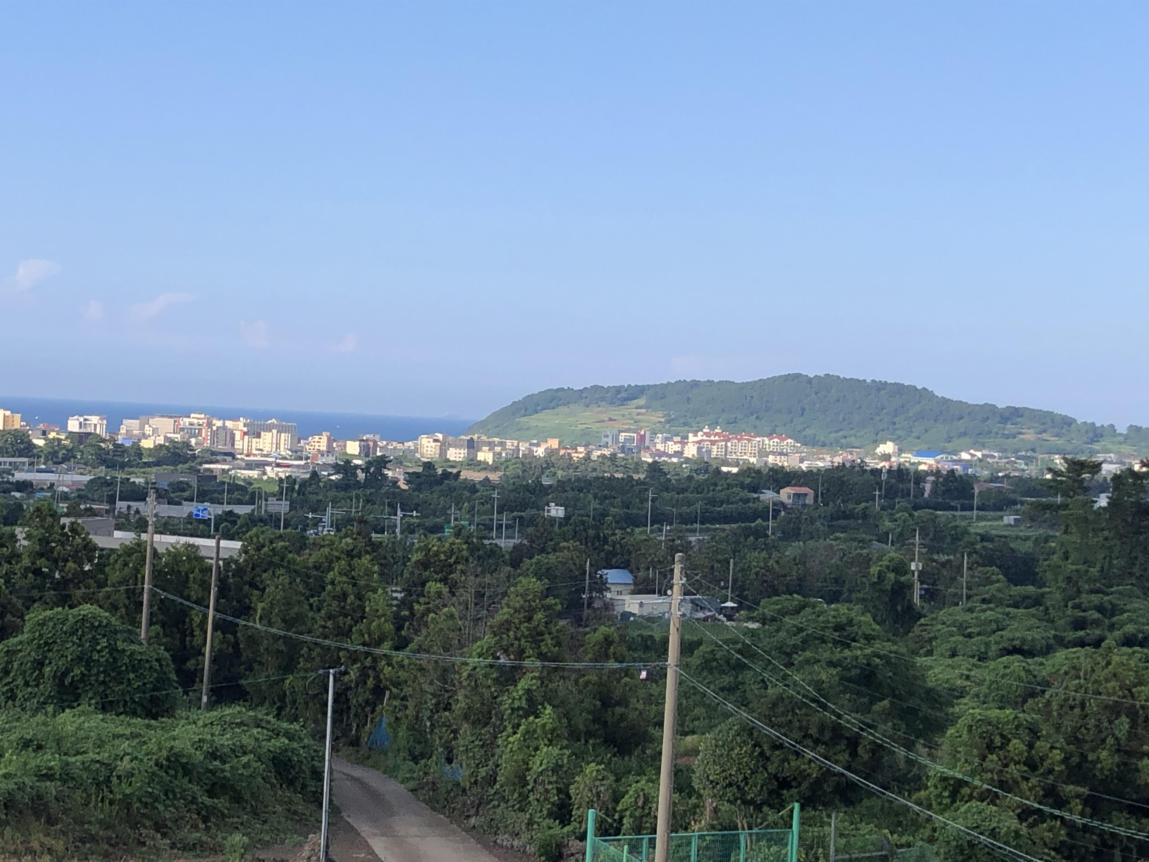 김주희 호스트