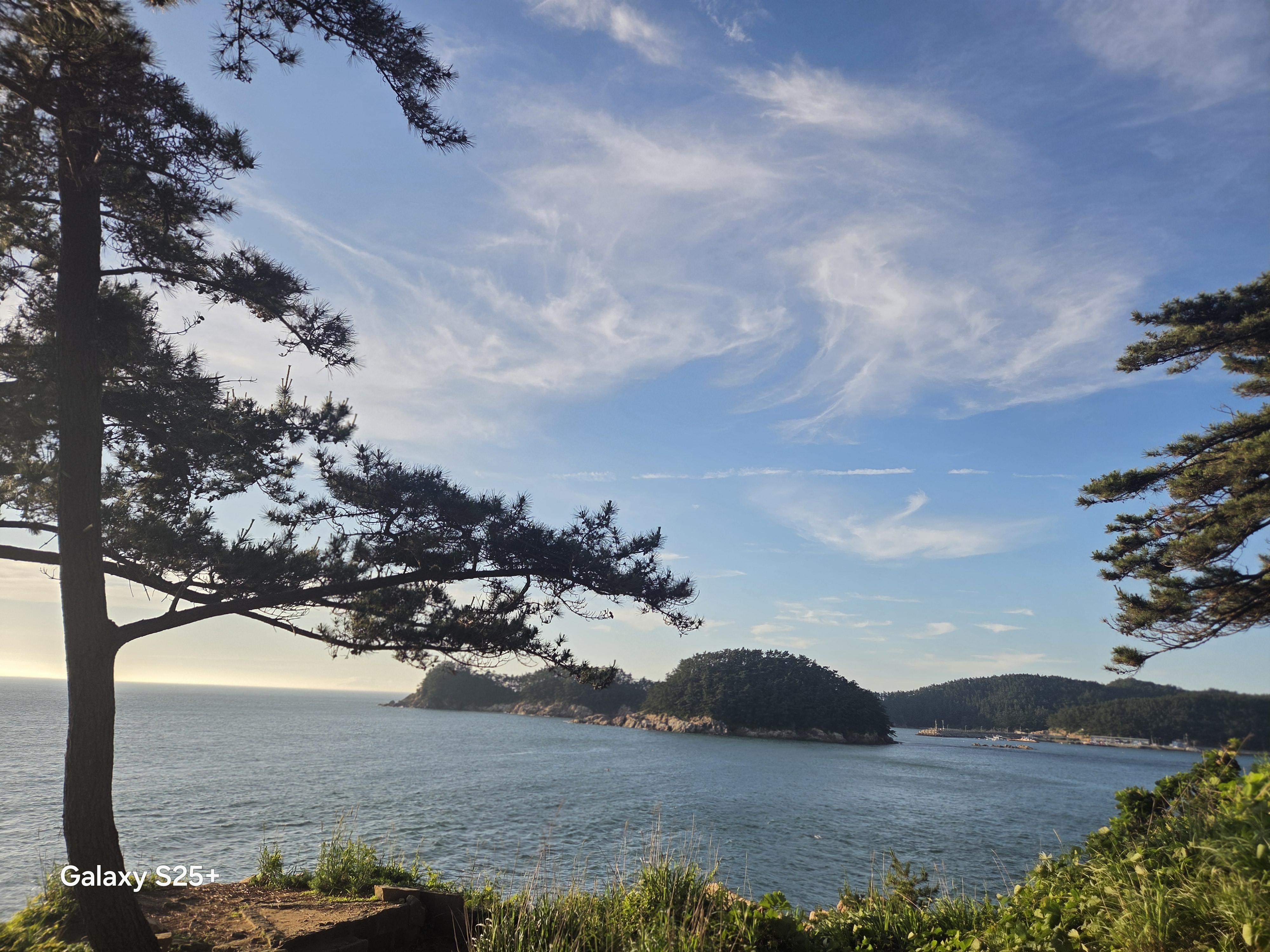 정금영 호스트