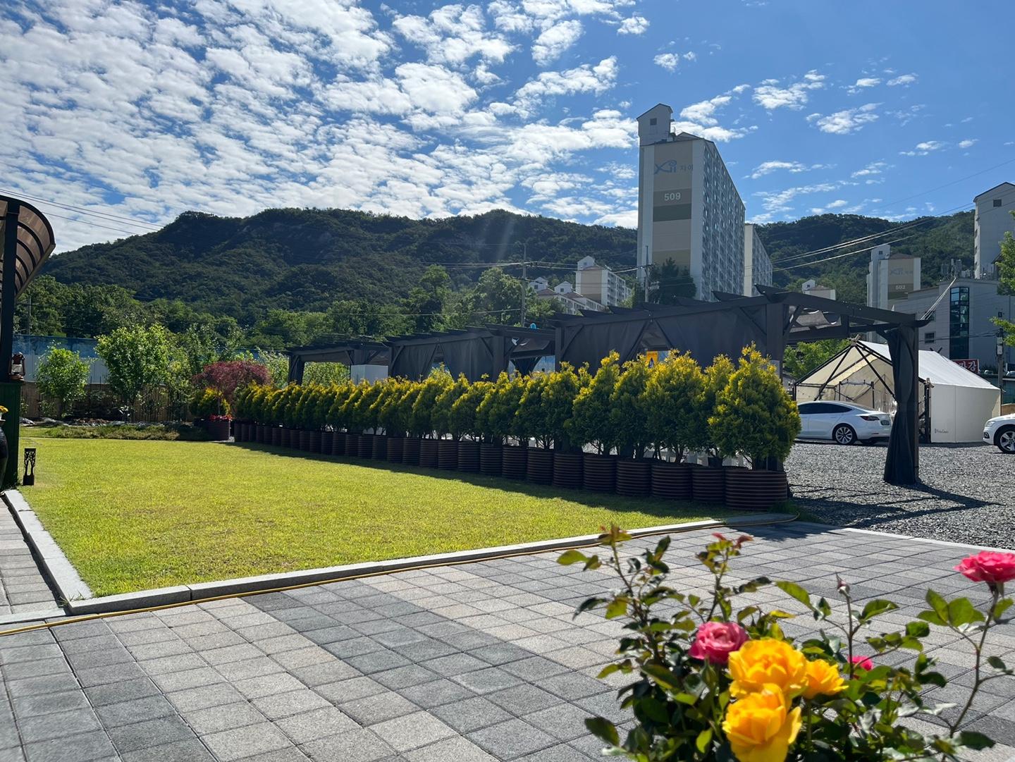 주순옥 호스트