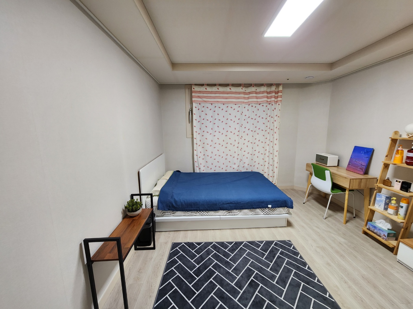 정부청사 및 세종충남대학병원 인접   사진 3