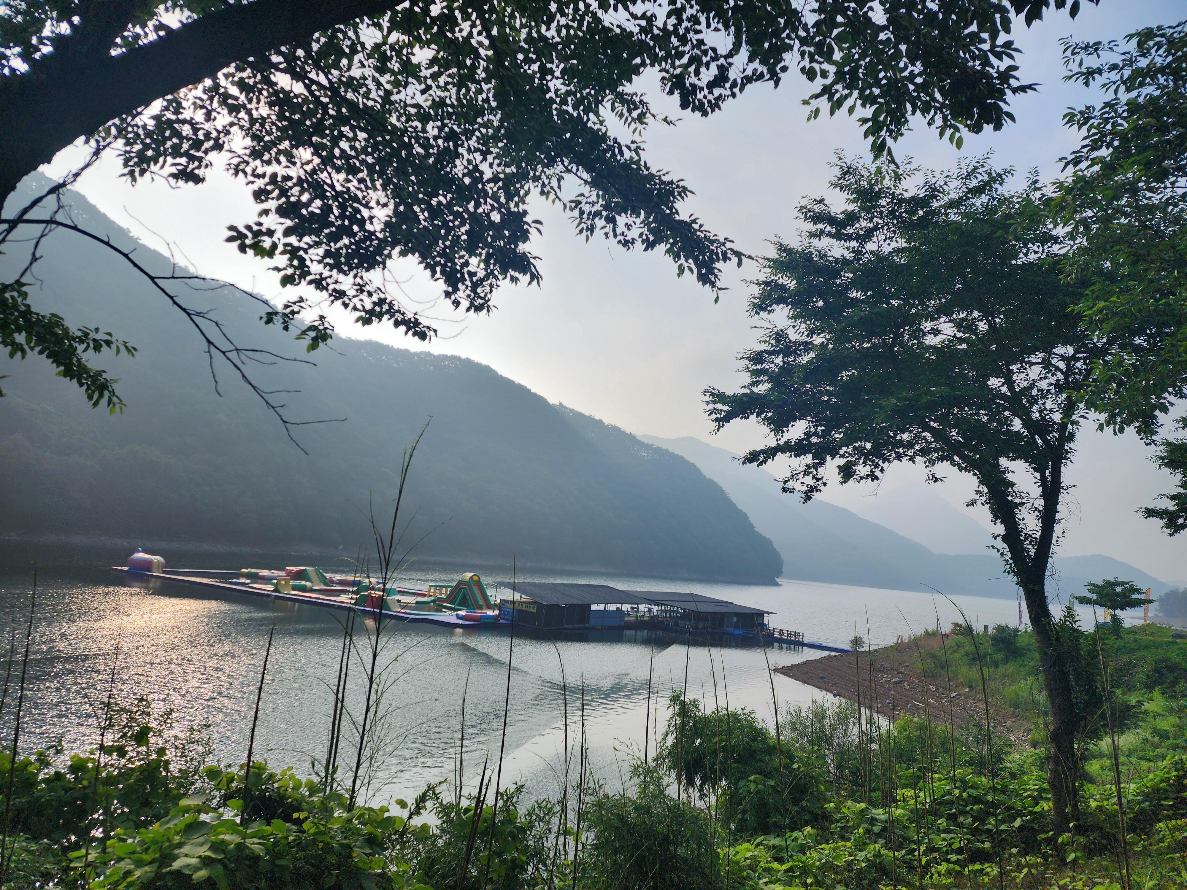선명진 호스트