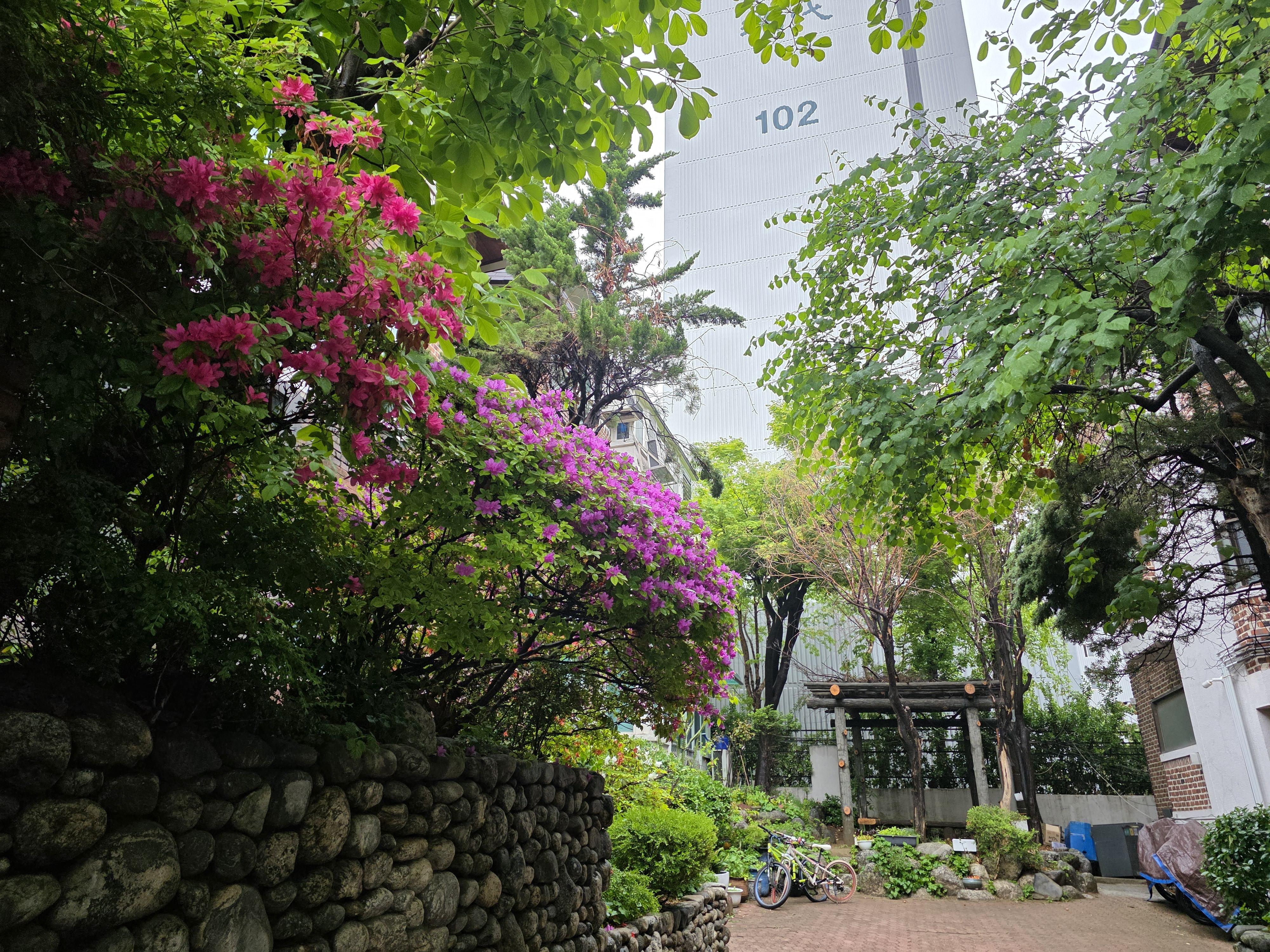 강남 서초 교대 조용한 집 사진 4