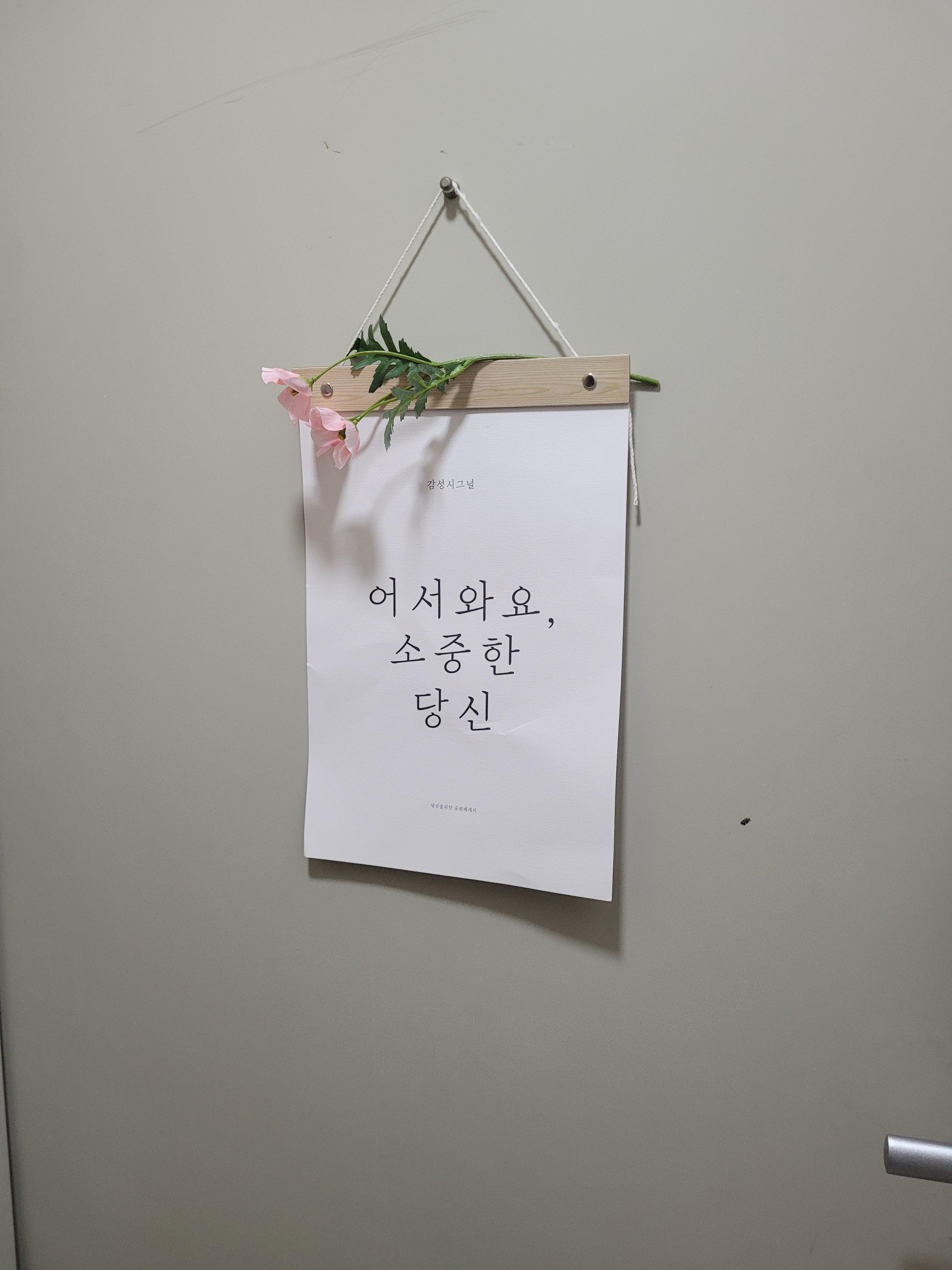 이지나 호스트