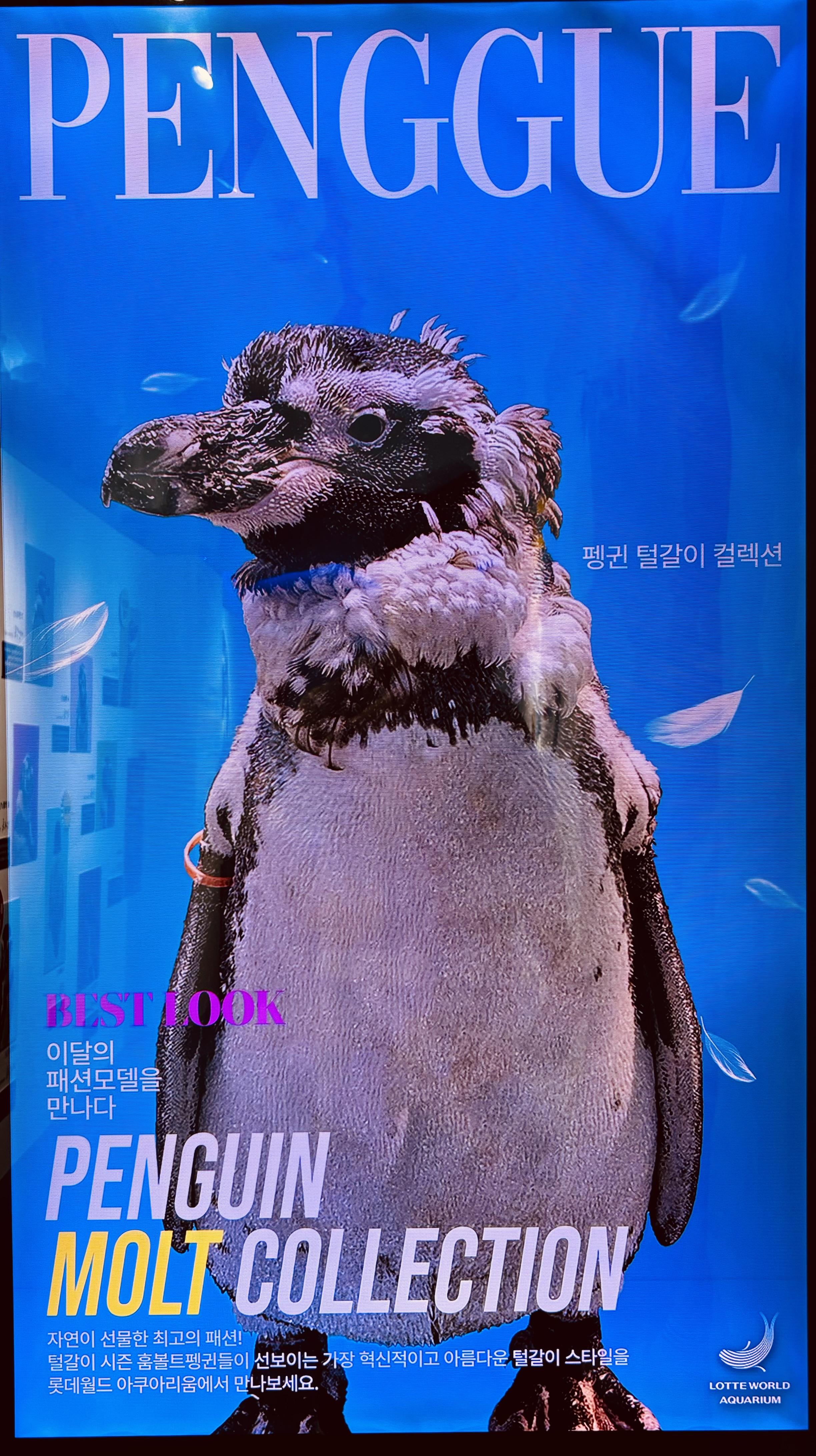 편안한 호스트