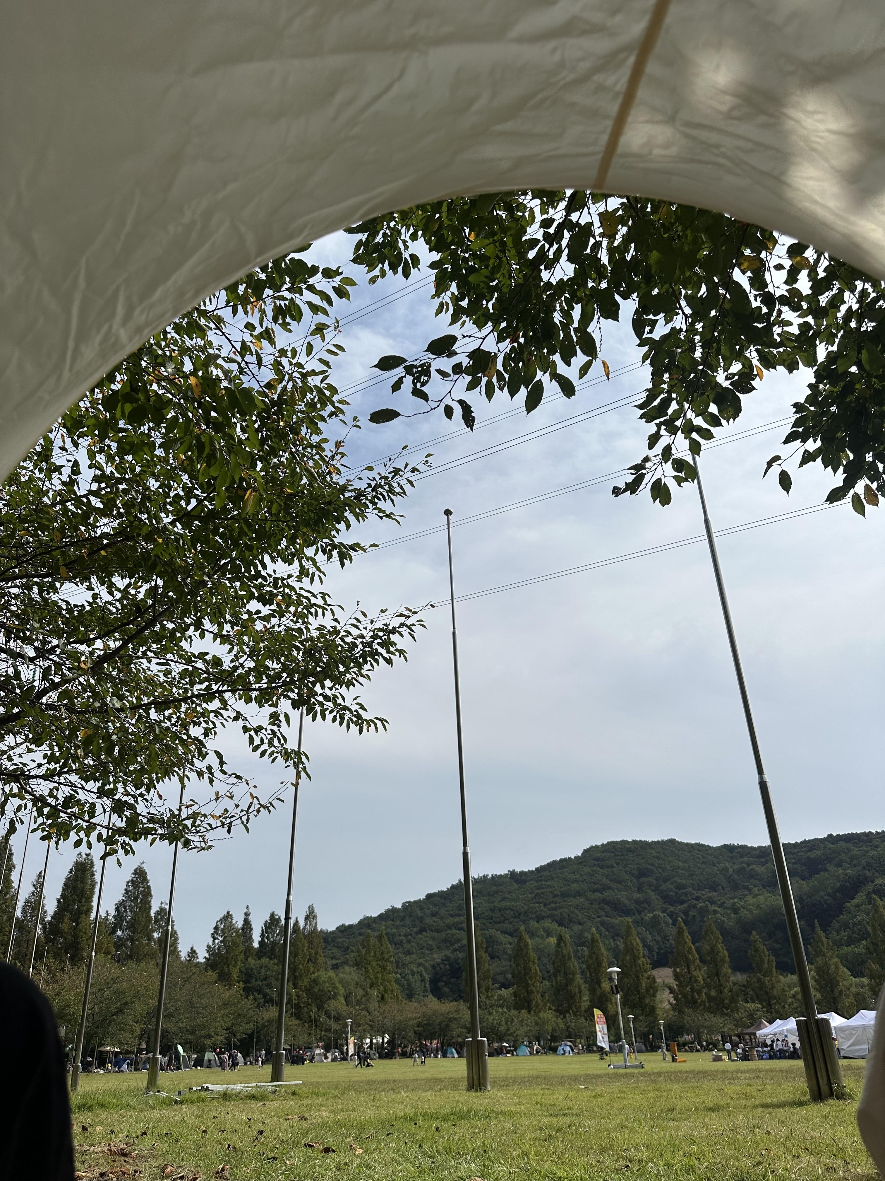 오보배 호스트