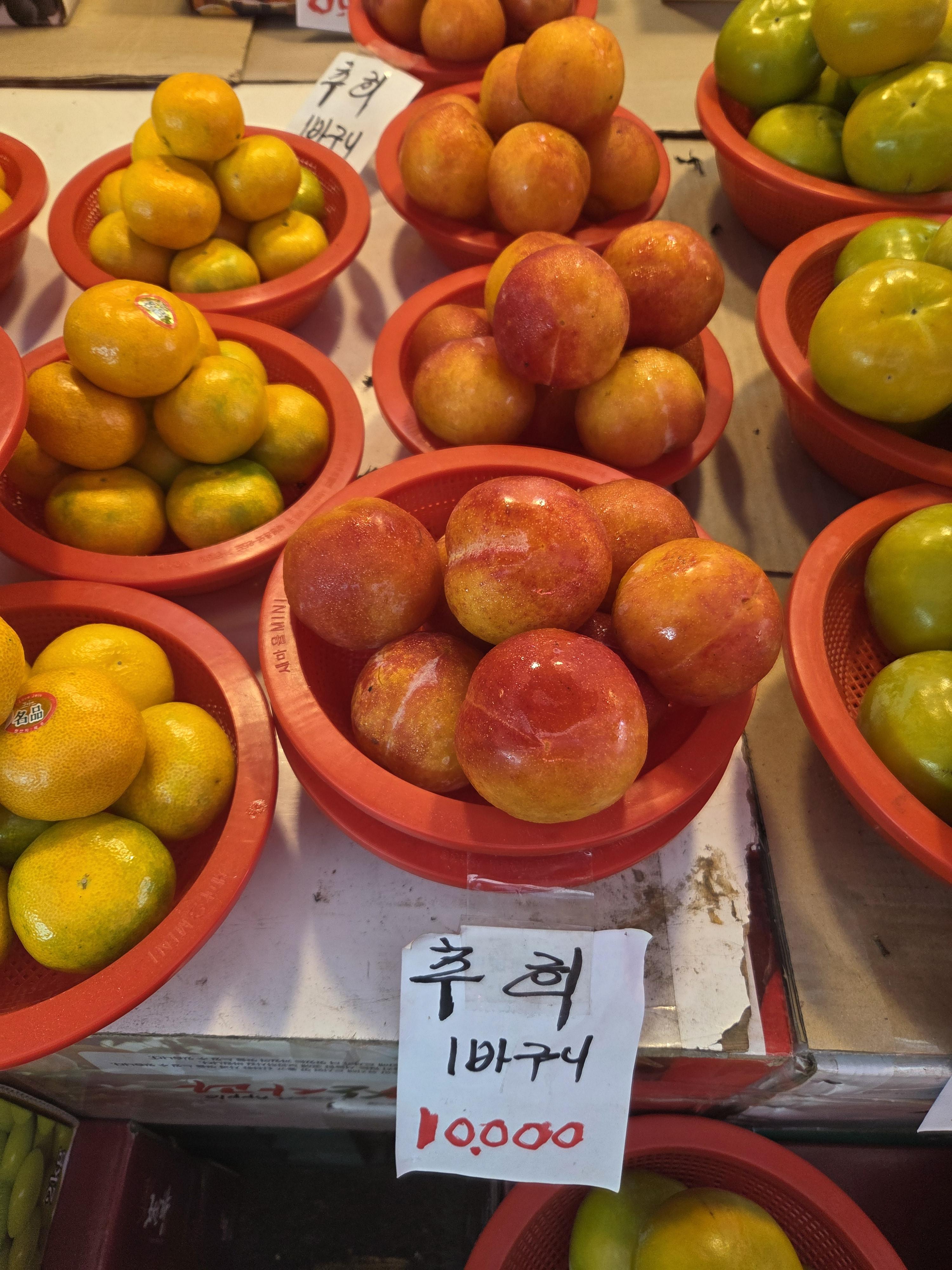 정세훈 호스트
