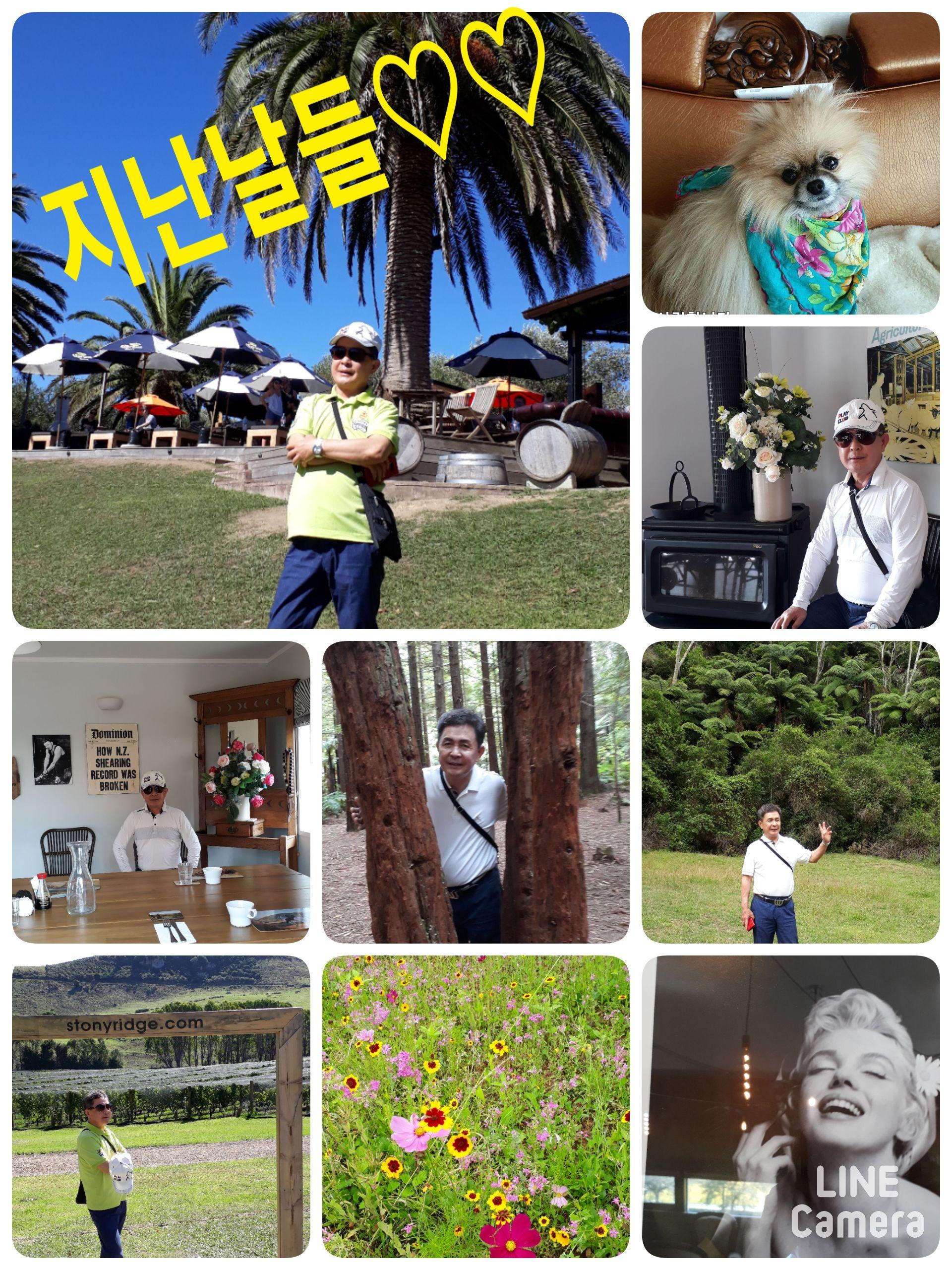 공화영편 호스트