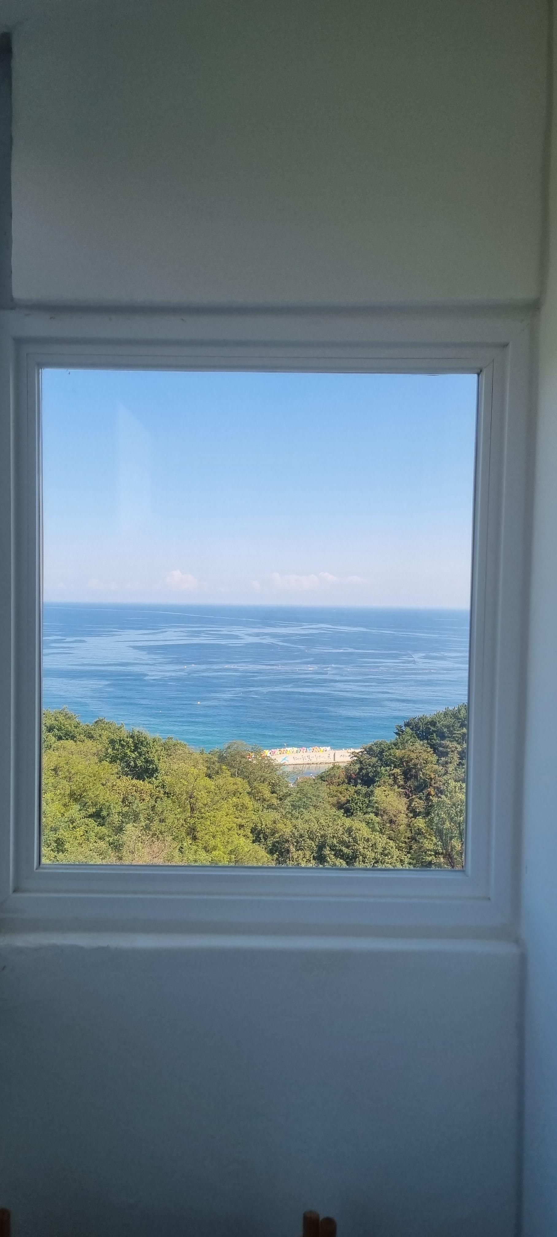 김예설 호스트