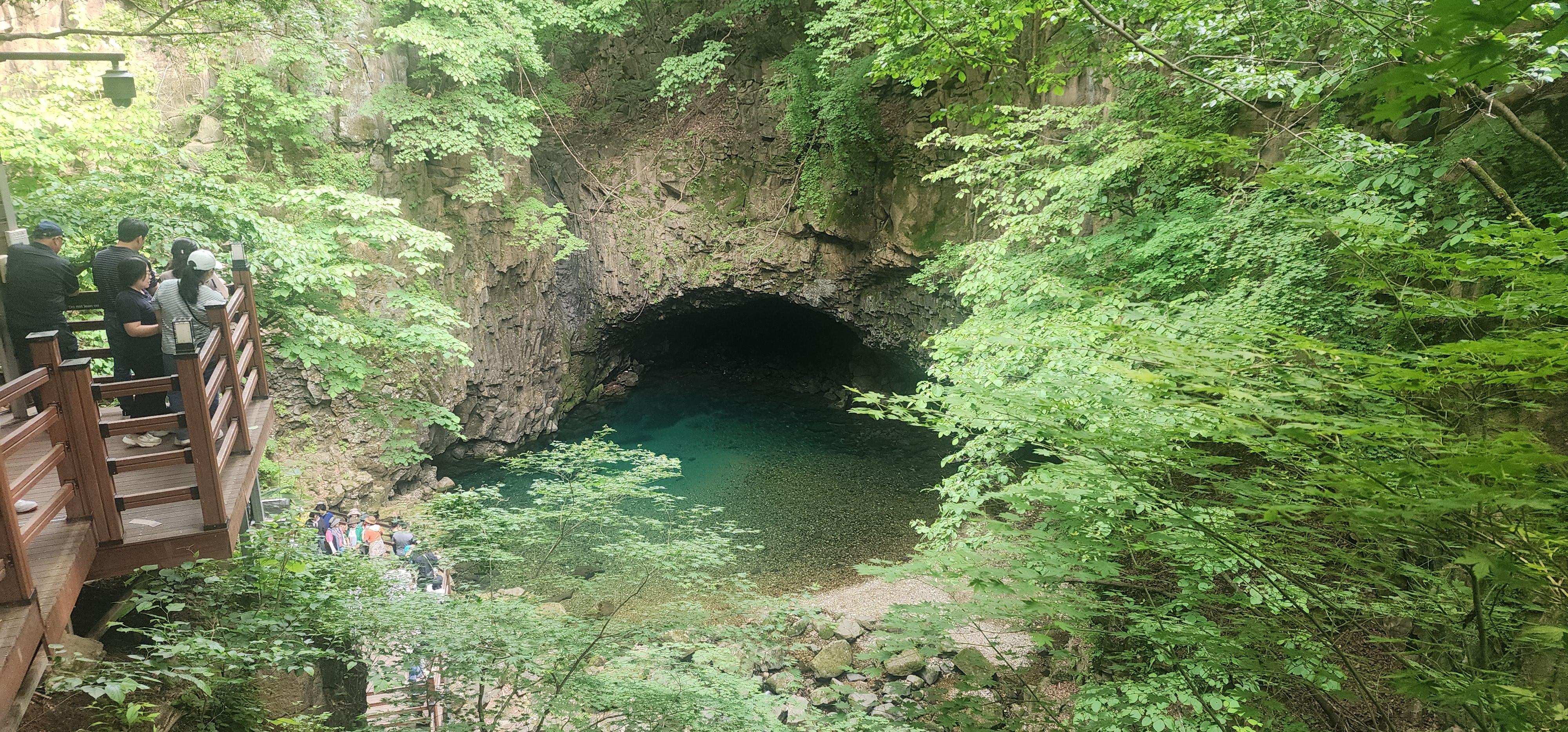 함새빛 호스트