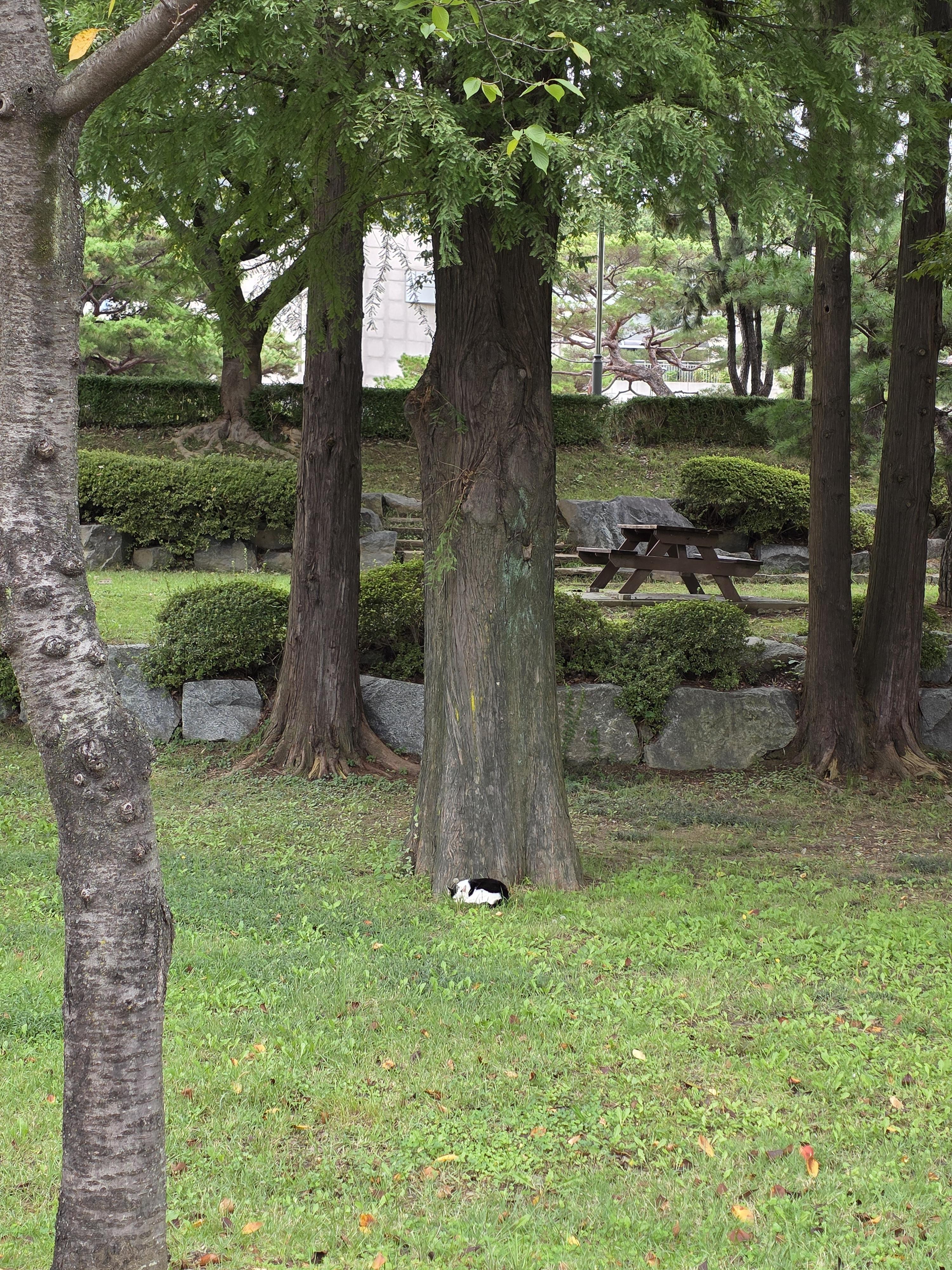 김재훈 호스트