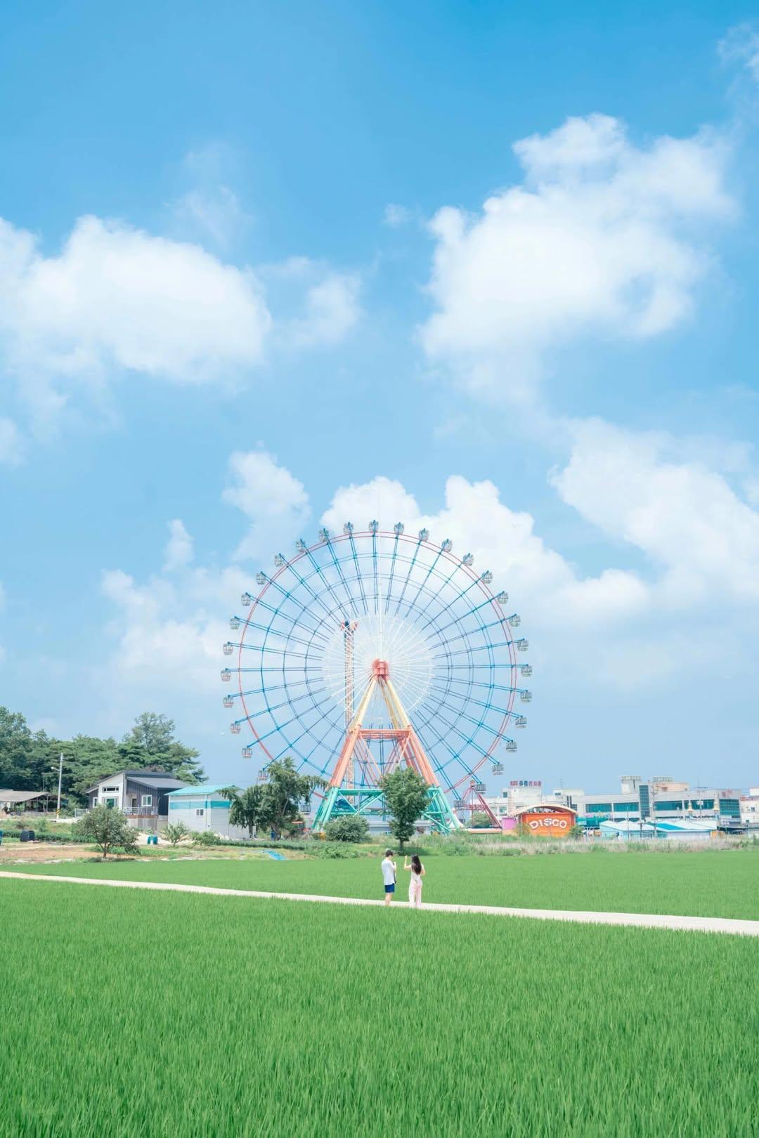아민 호스트