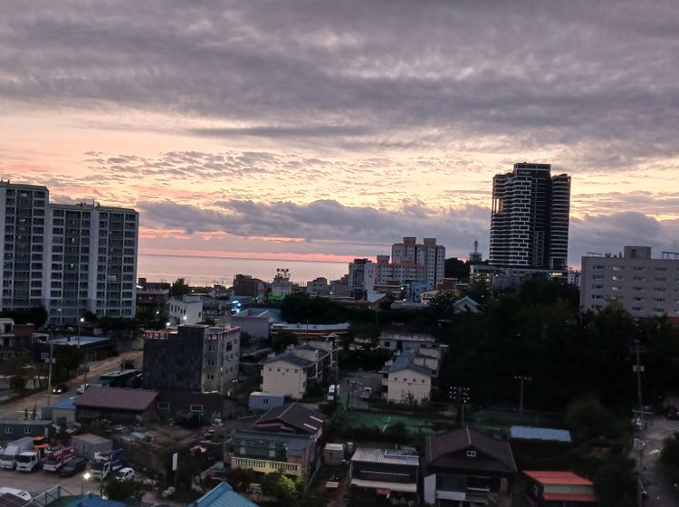 이현정 호스트