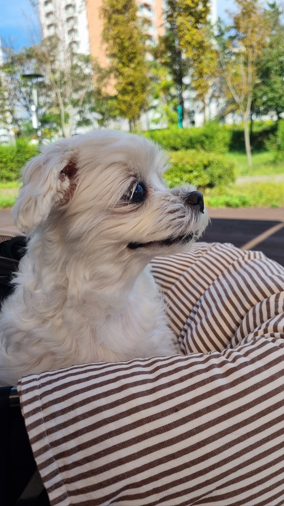구현모 호스트