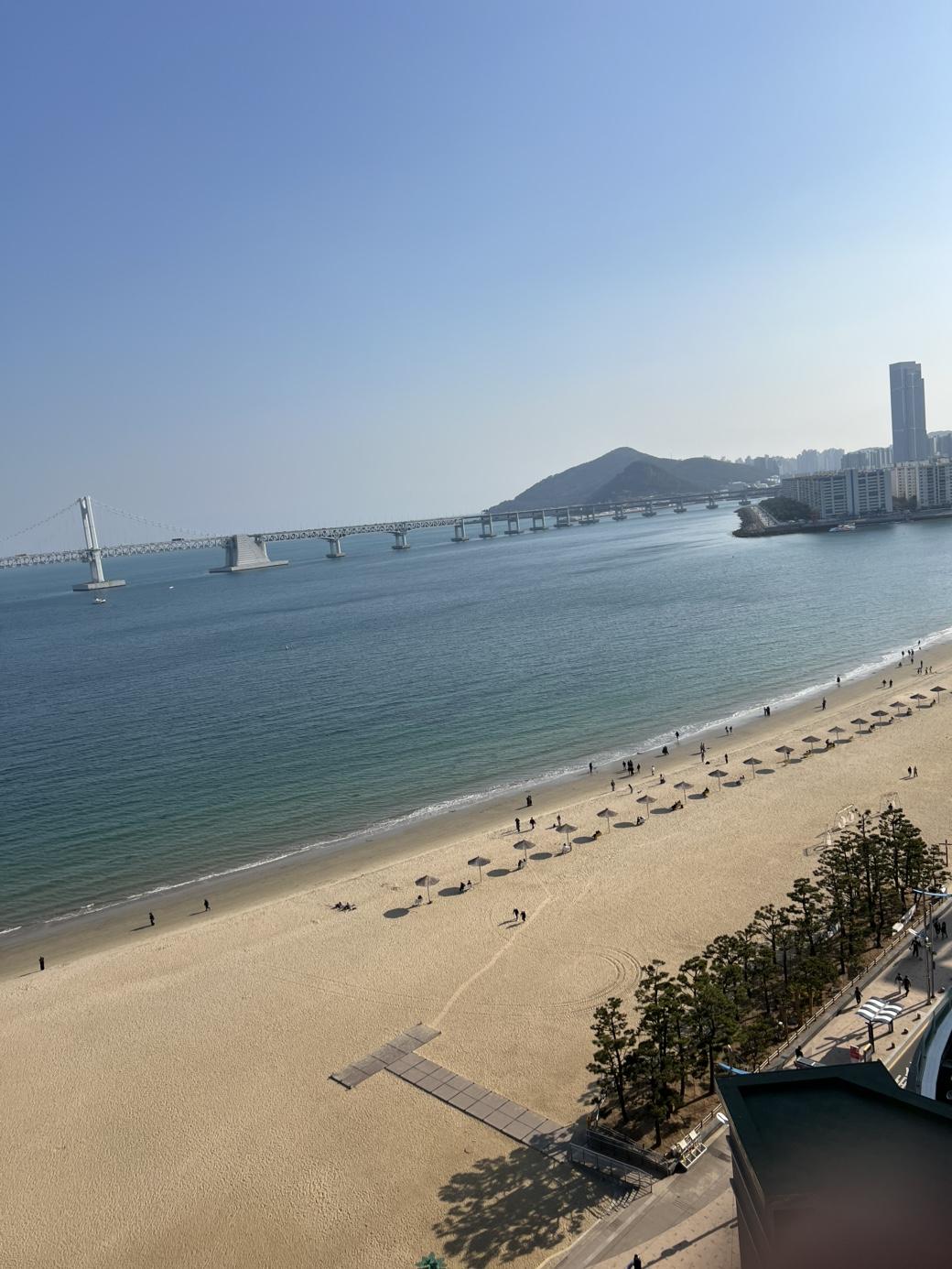 광안리 오션뷰  사진 2