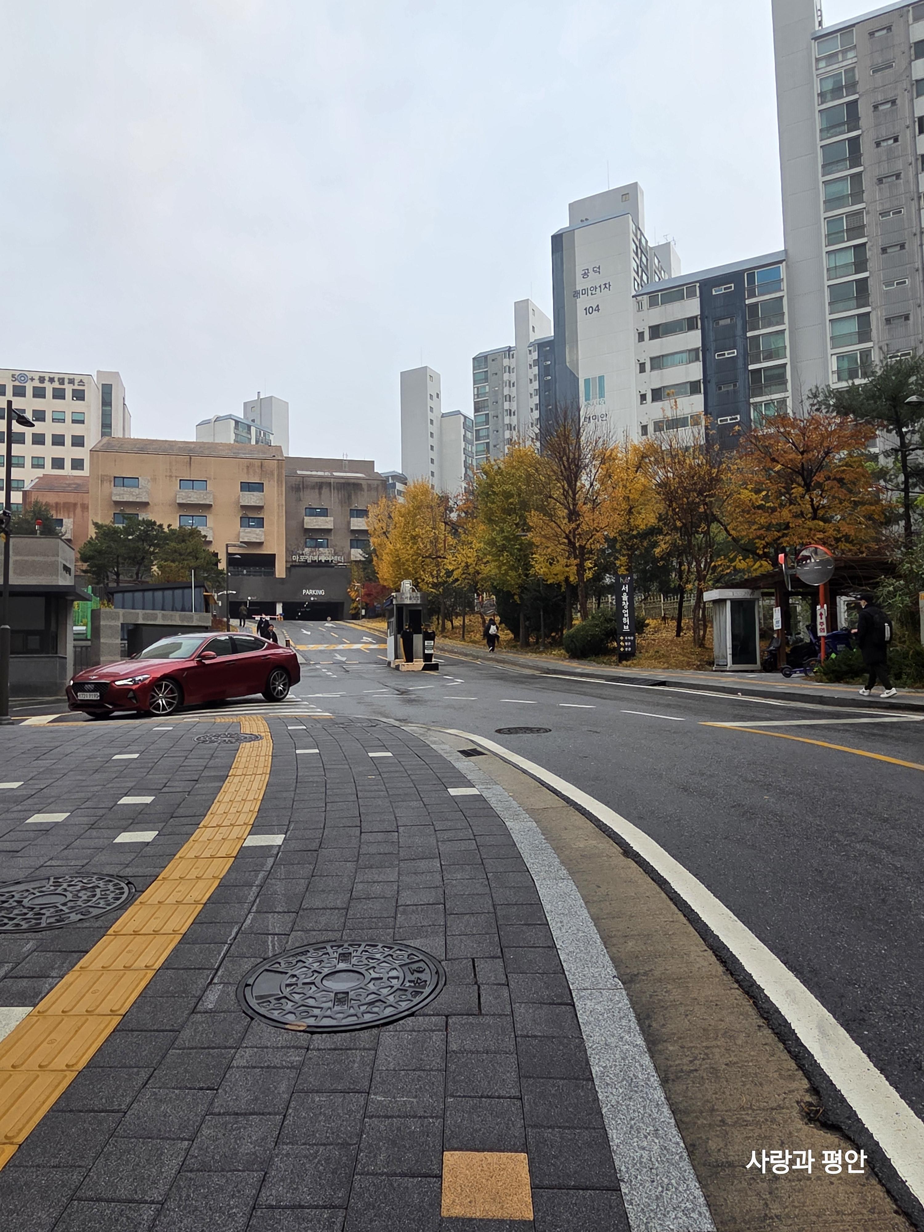 조연정  호스트