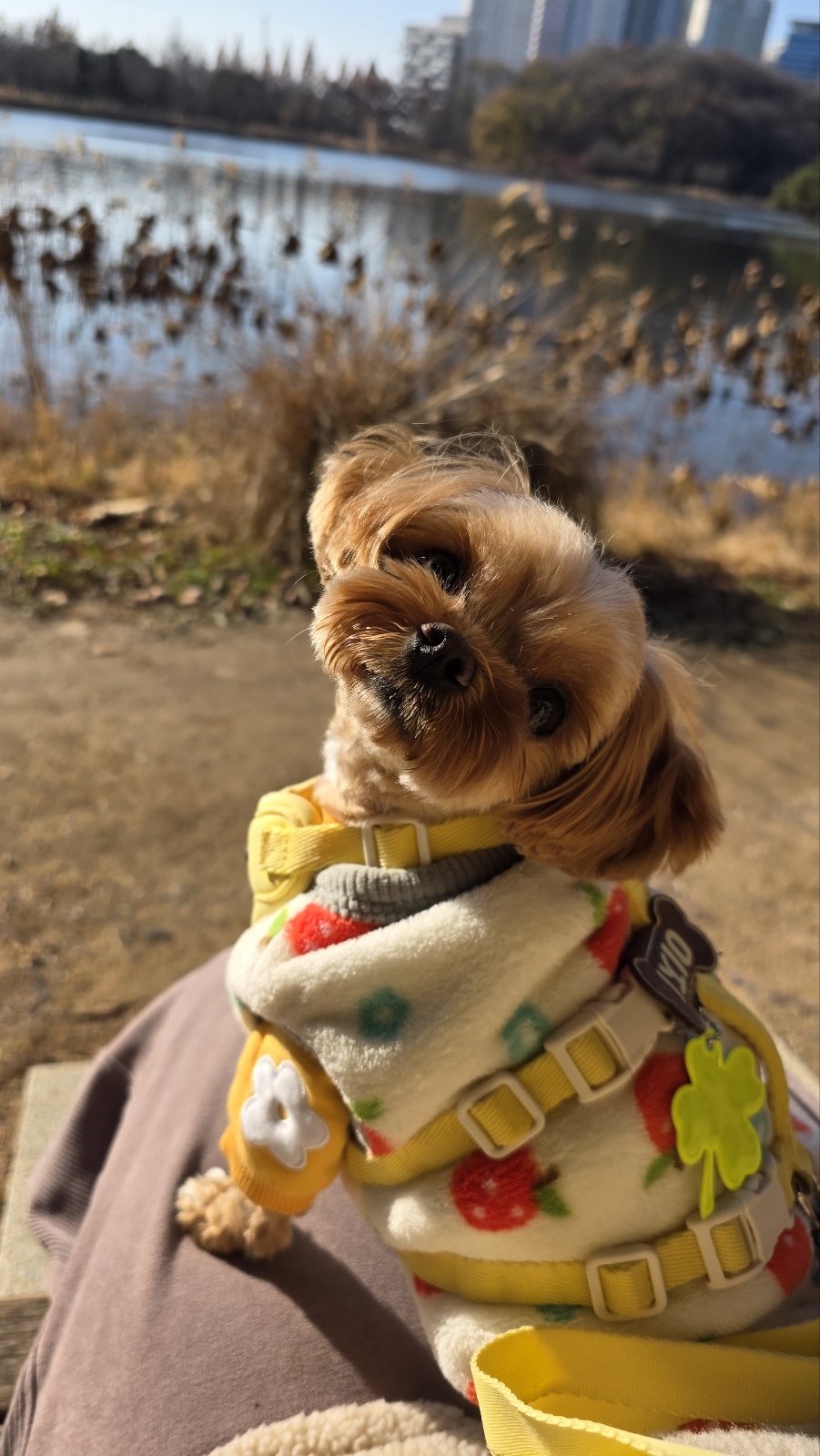 한아름 호스트