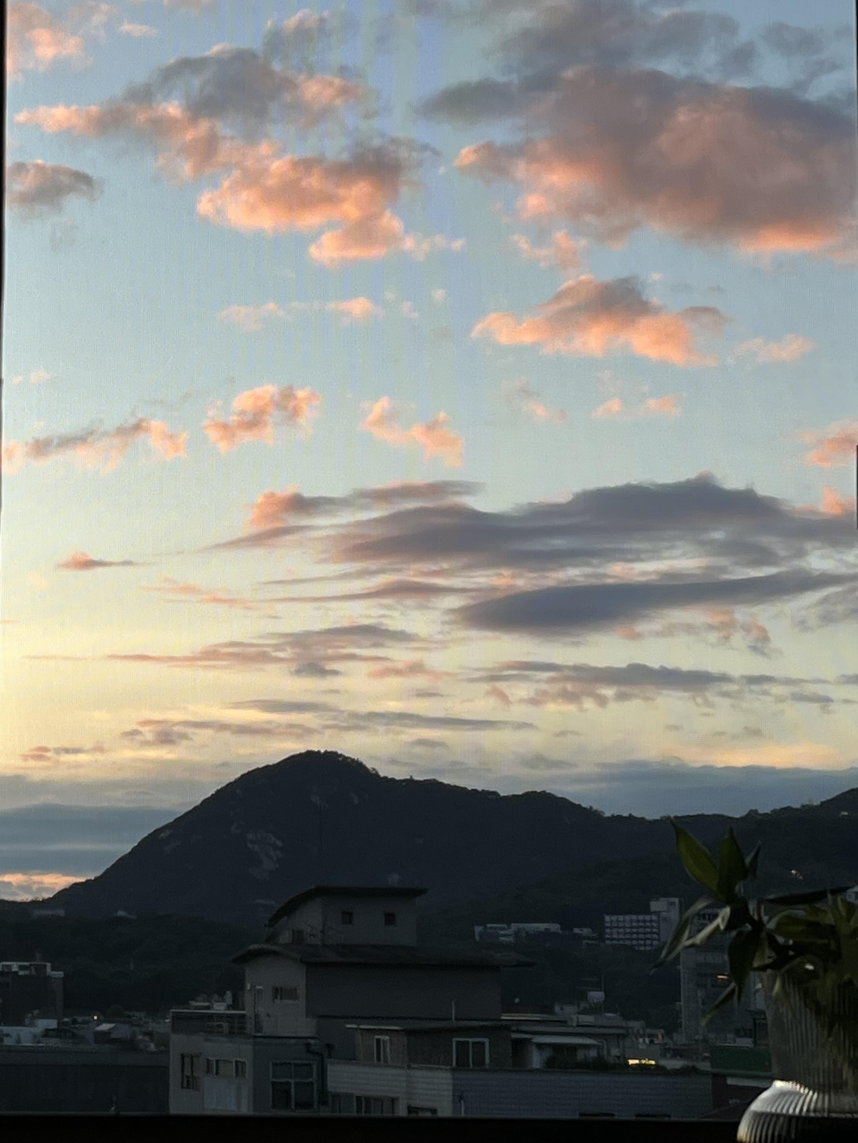 낙산공원뷰가 예쁜 집 사진 2