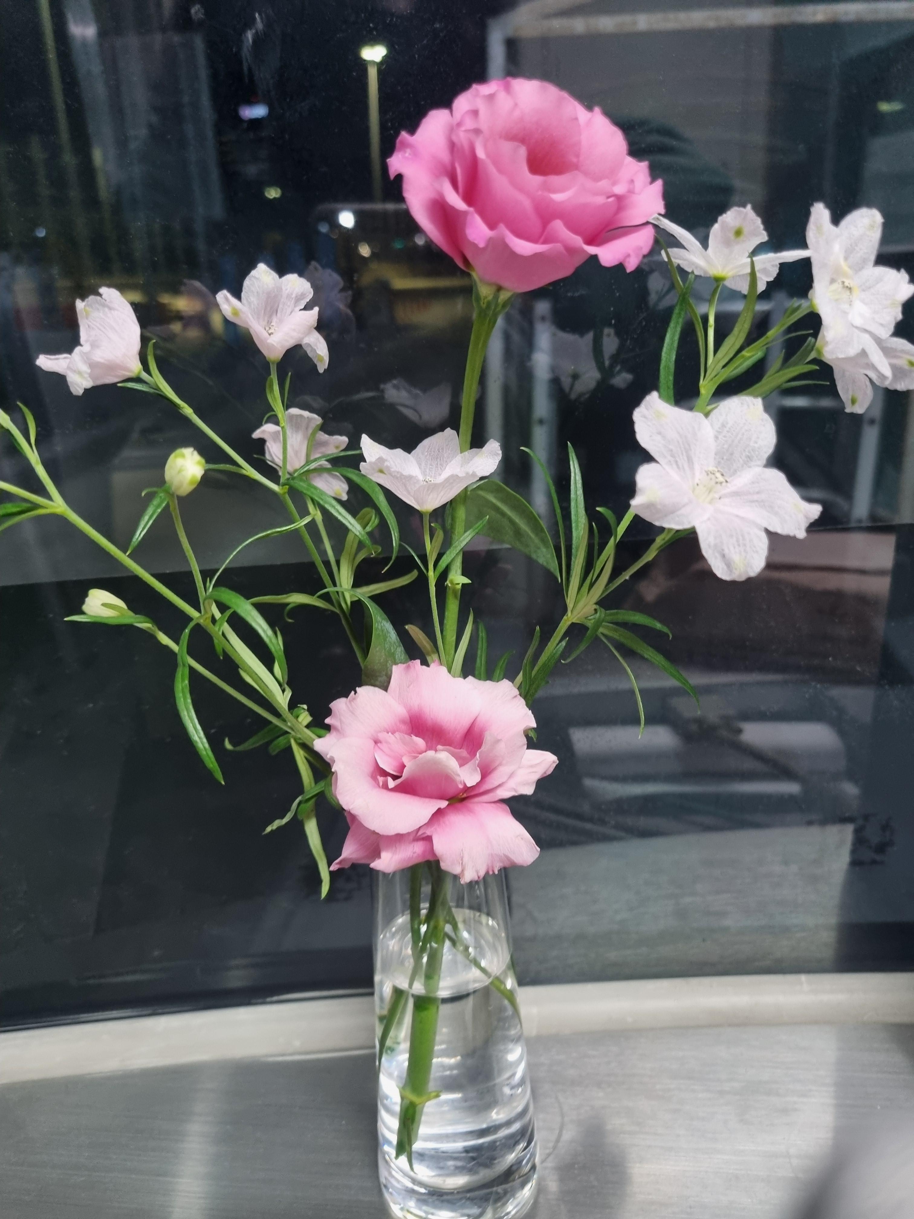 김경아 호스트