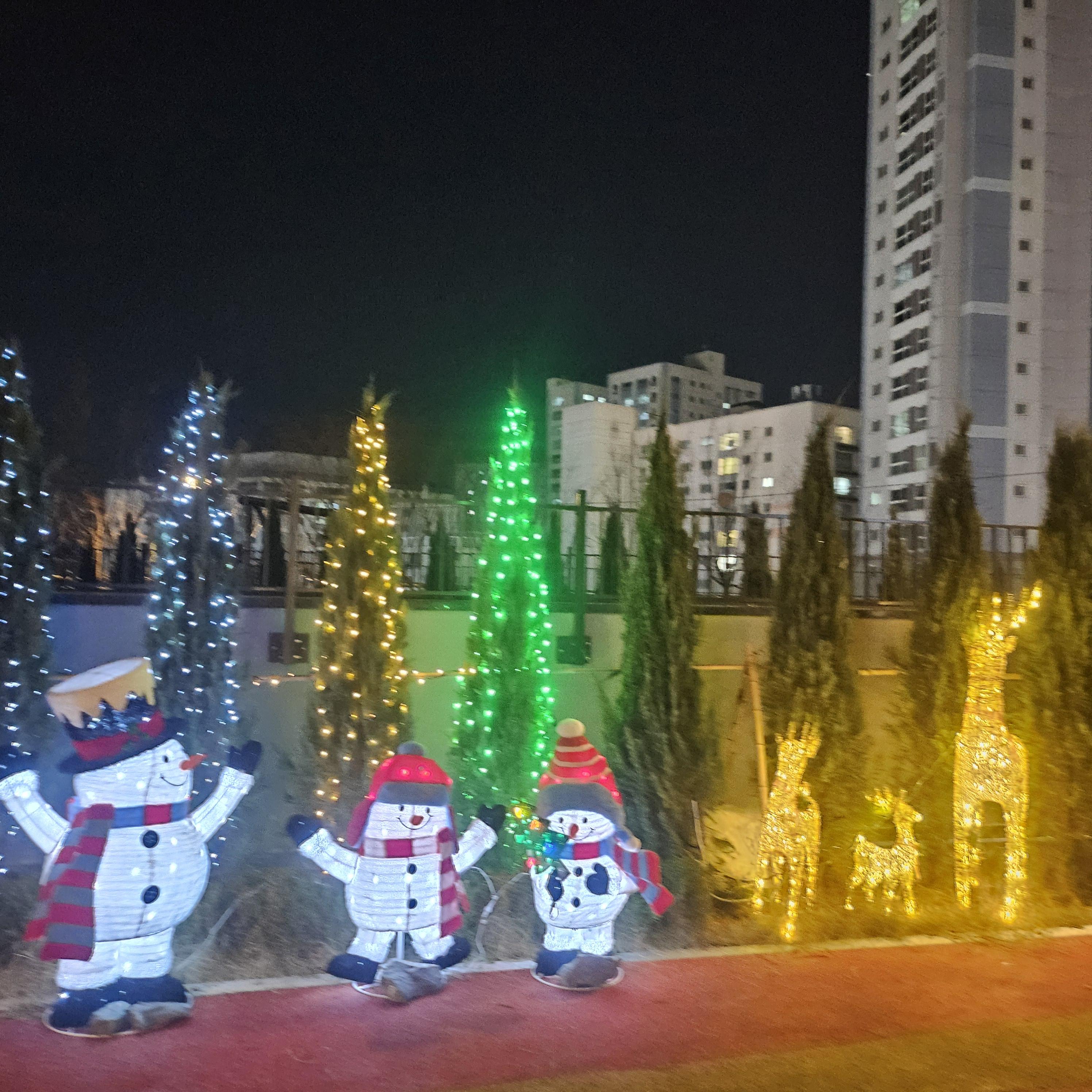 쭌해태맘 호스트