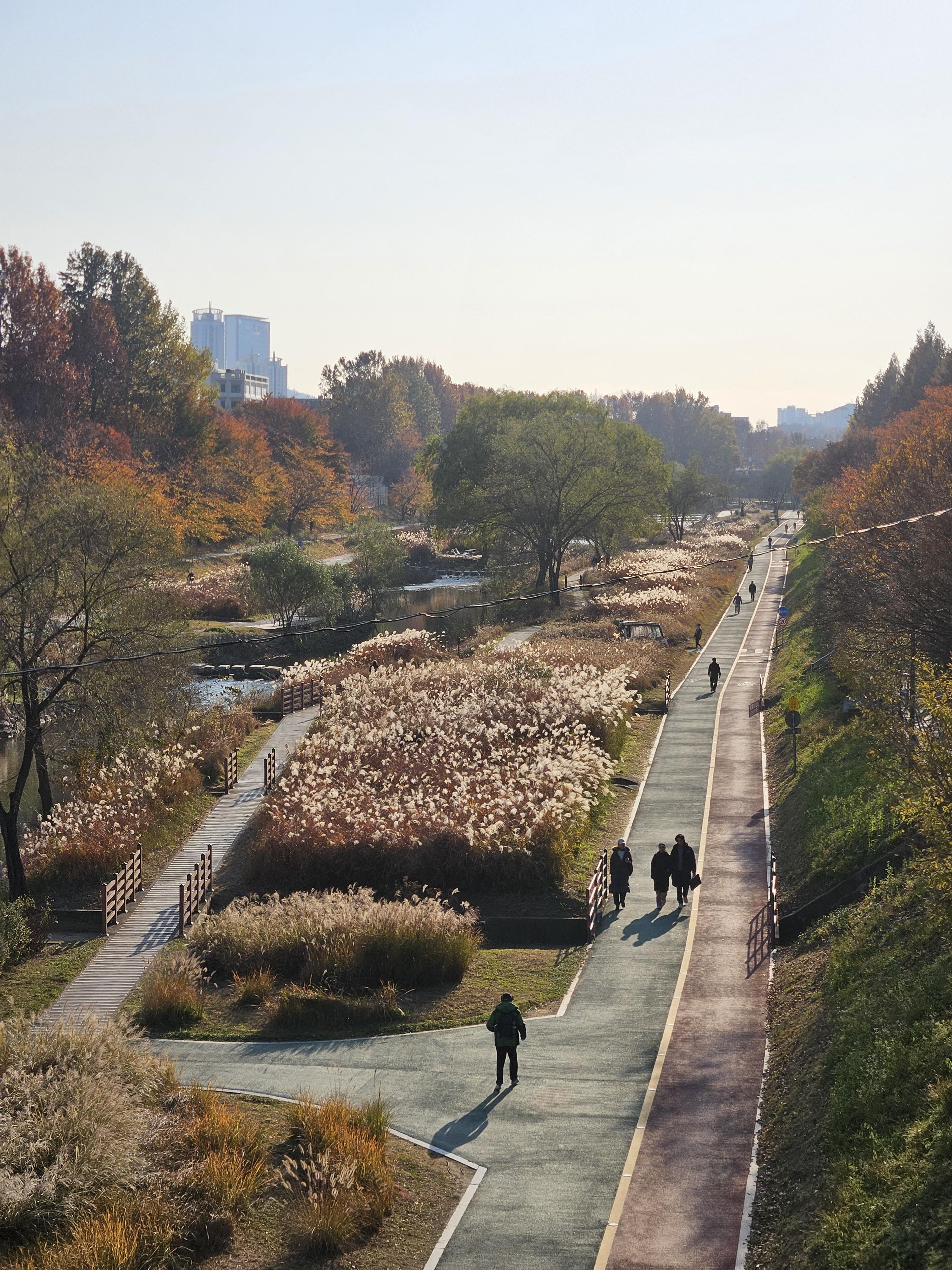 김한솔 호스트