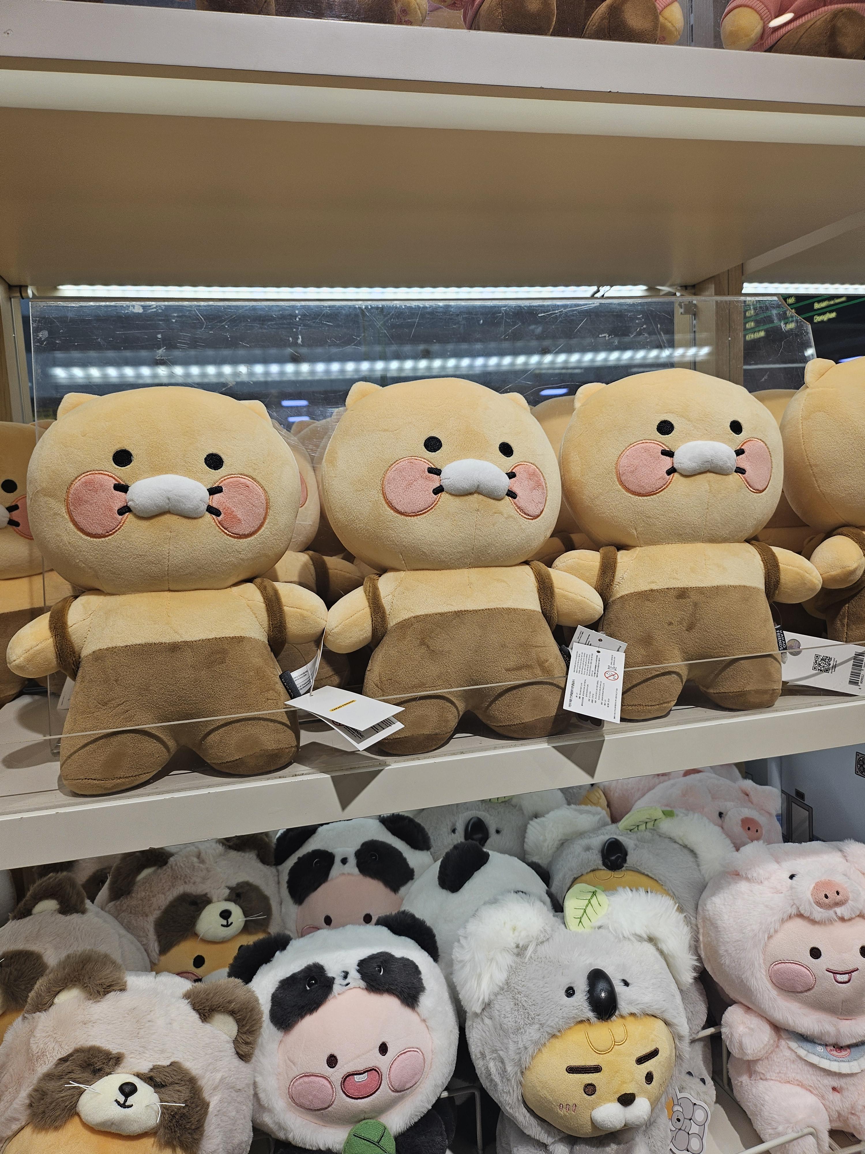 소이 호스트