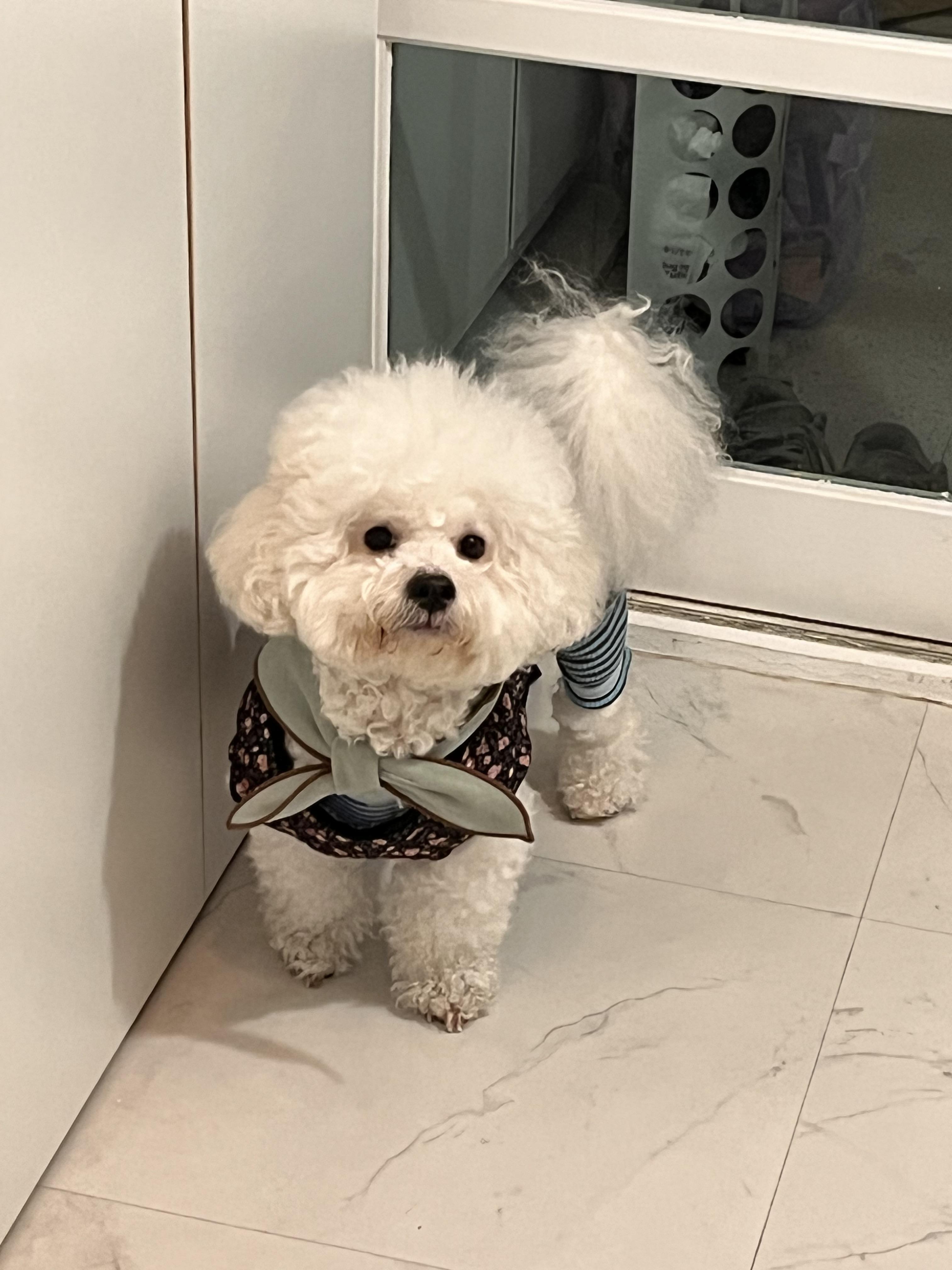 이다움 호스트