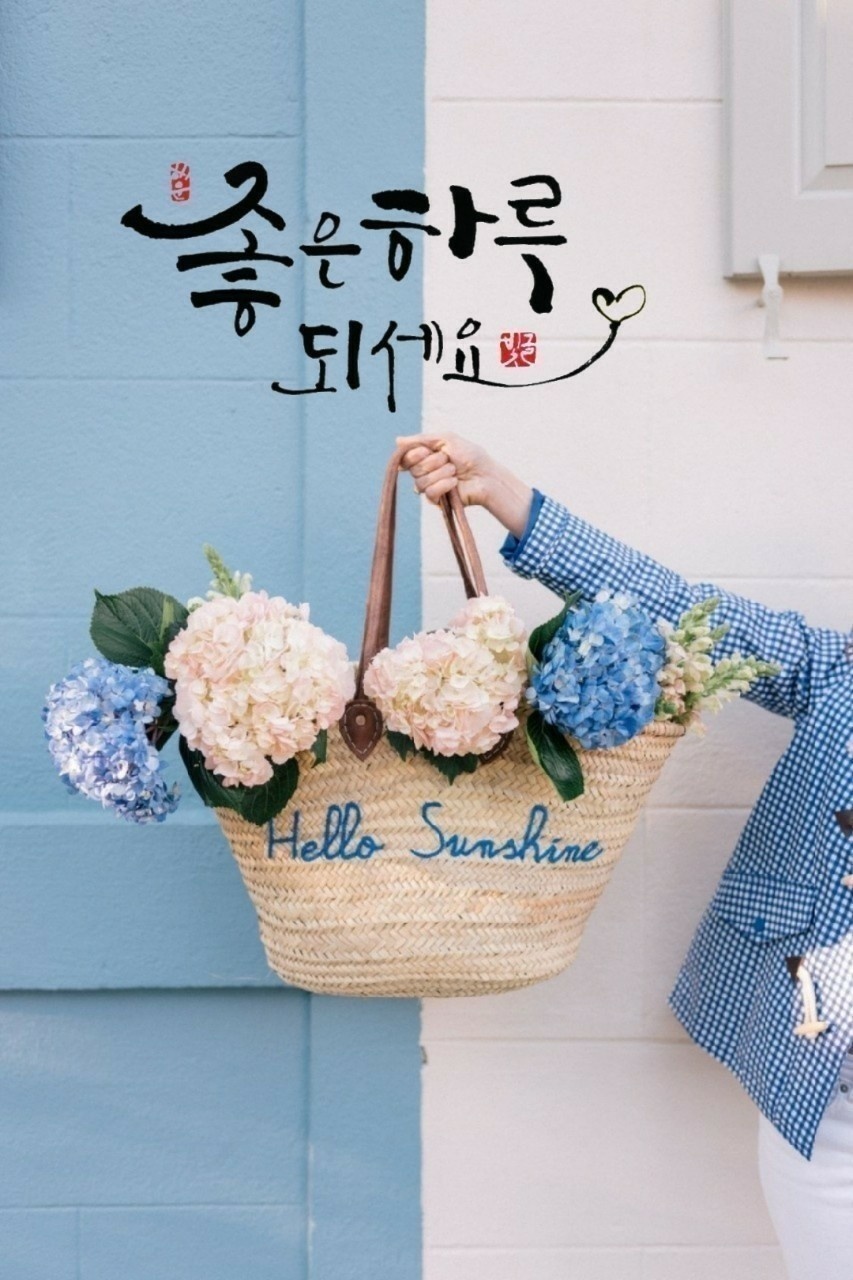 섭유나 호스트