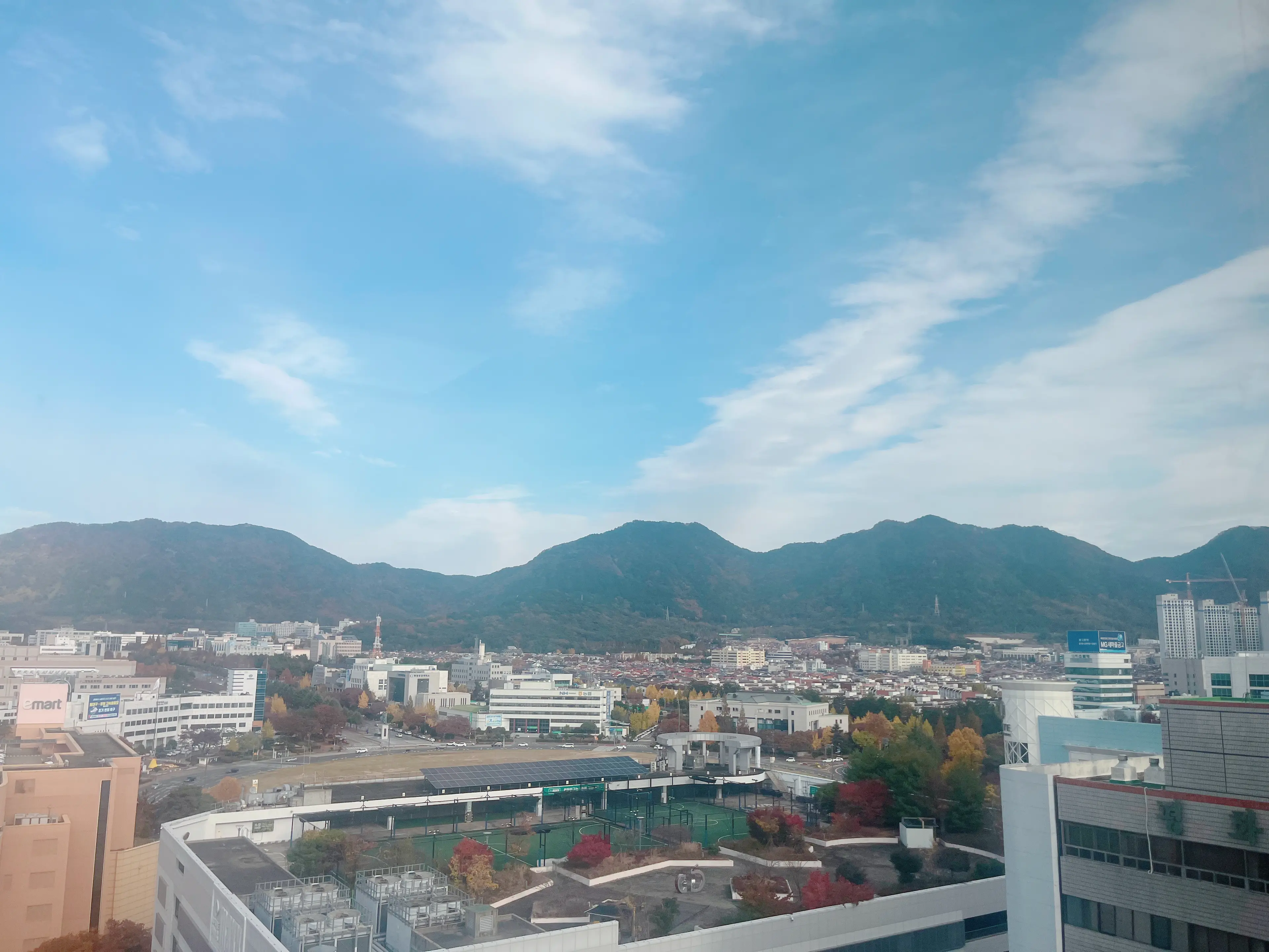 창원 도심1초 행복🍑 사진 3