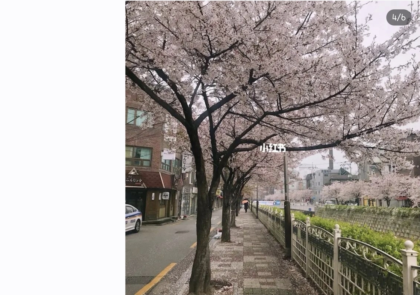 권형택 호스트