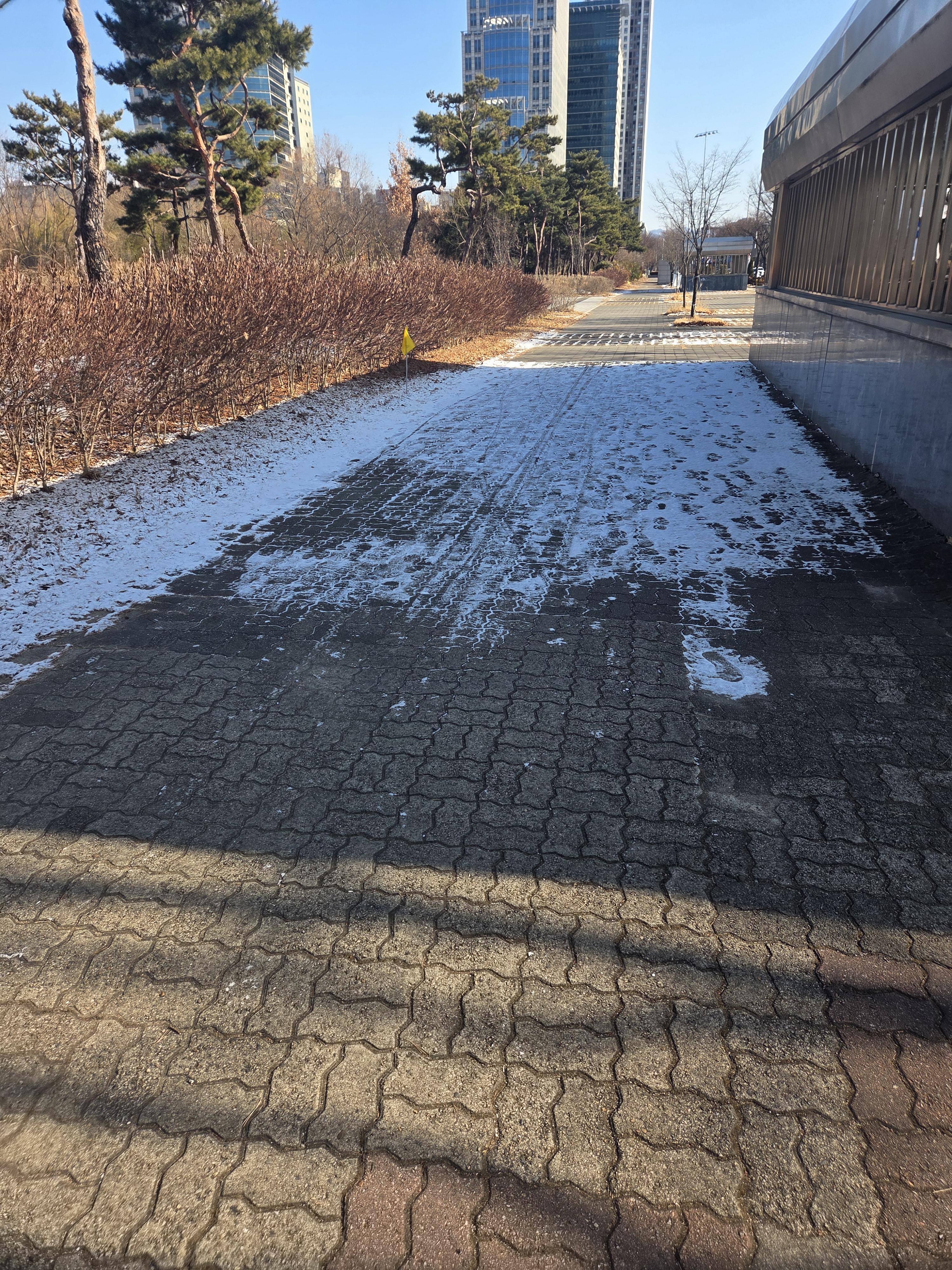 호스트 호스트