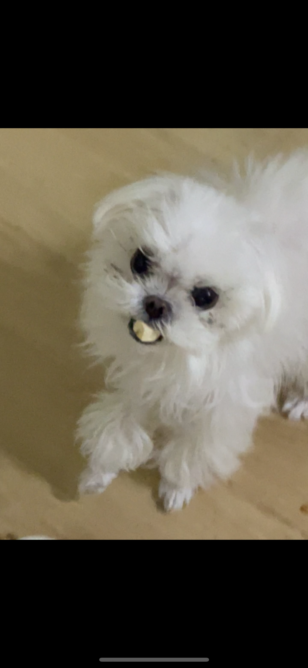 Karen S 호스트