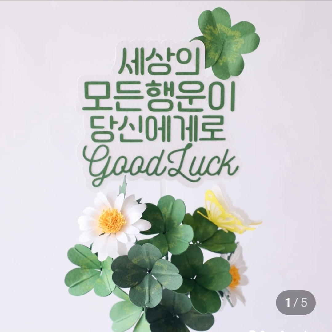 홍수민  호스트