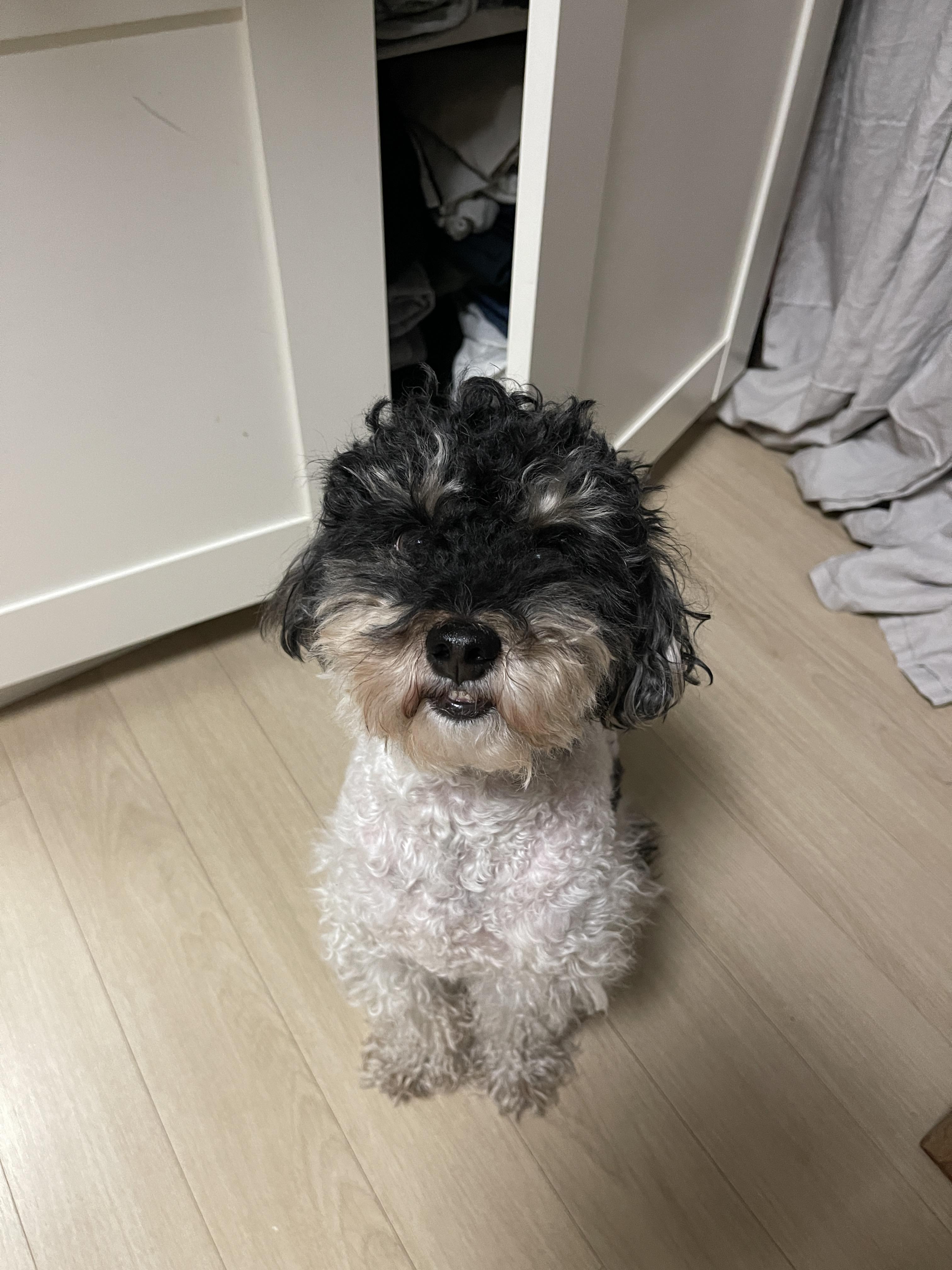 김홍래 호스트