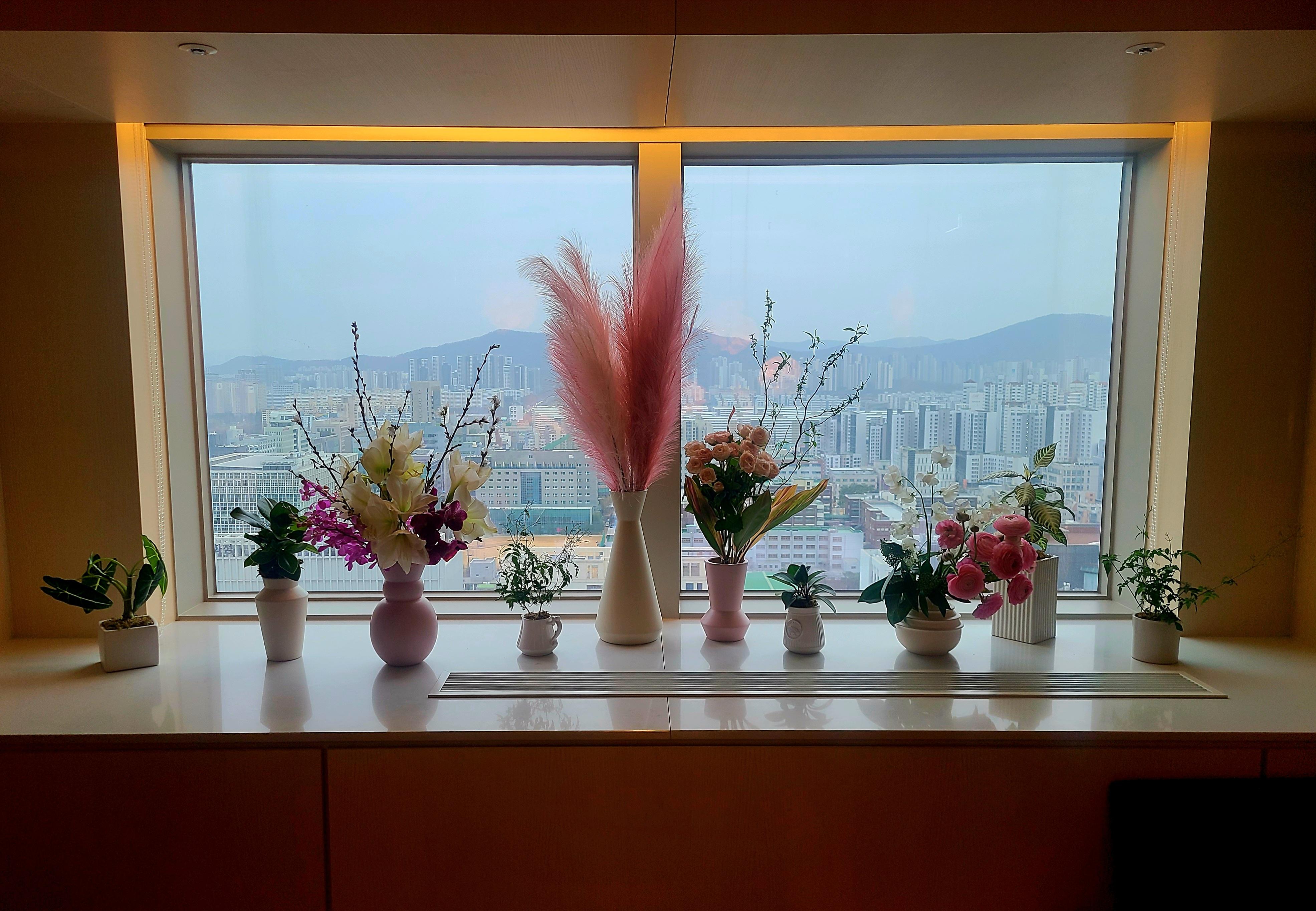 에이메스 호스트