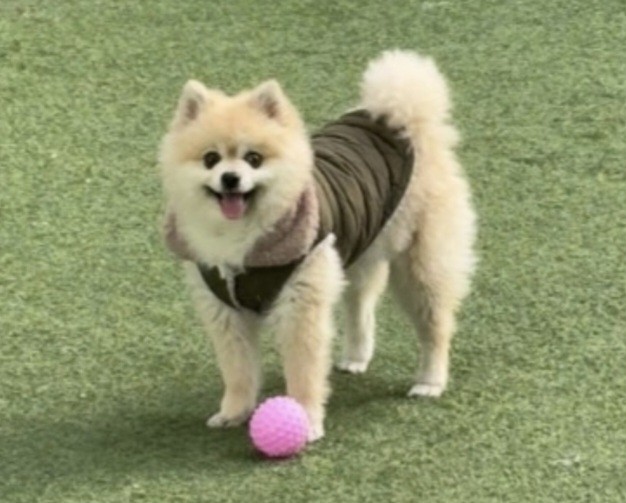 채재원 호스트
