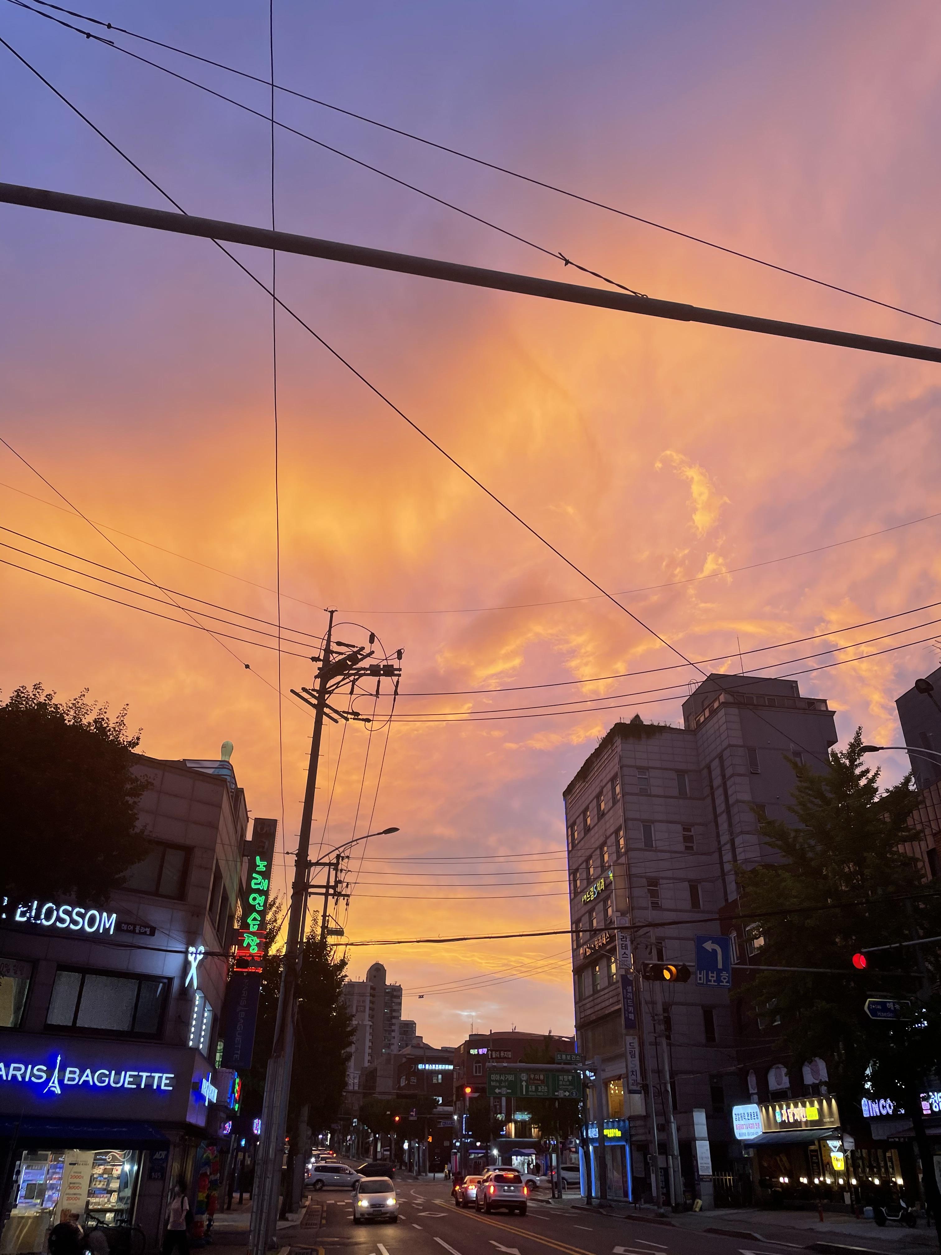 김현우 호스트