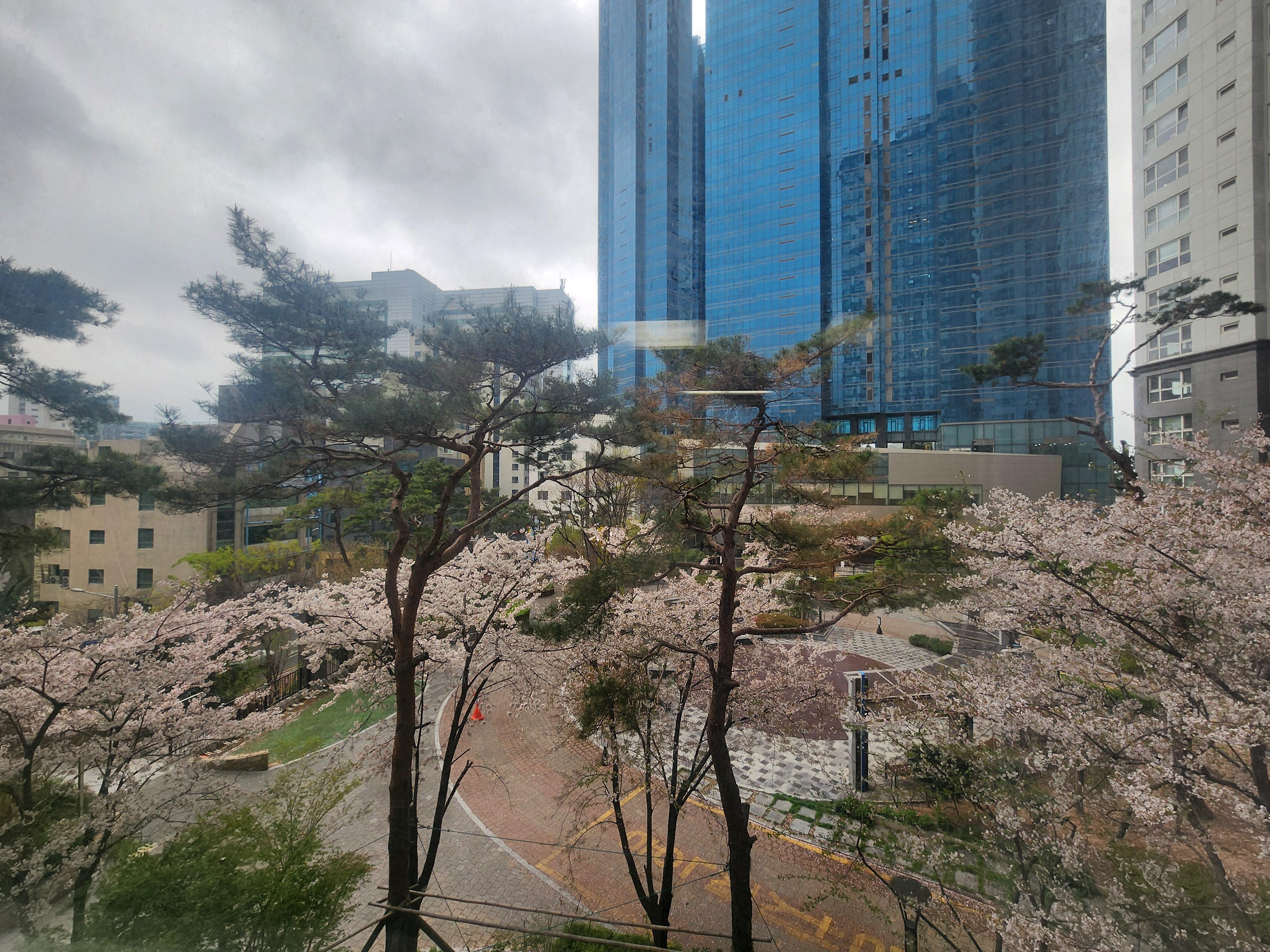 해운대 힐링방 사진 5