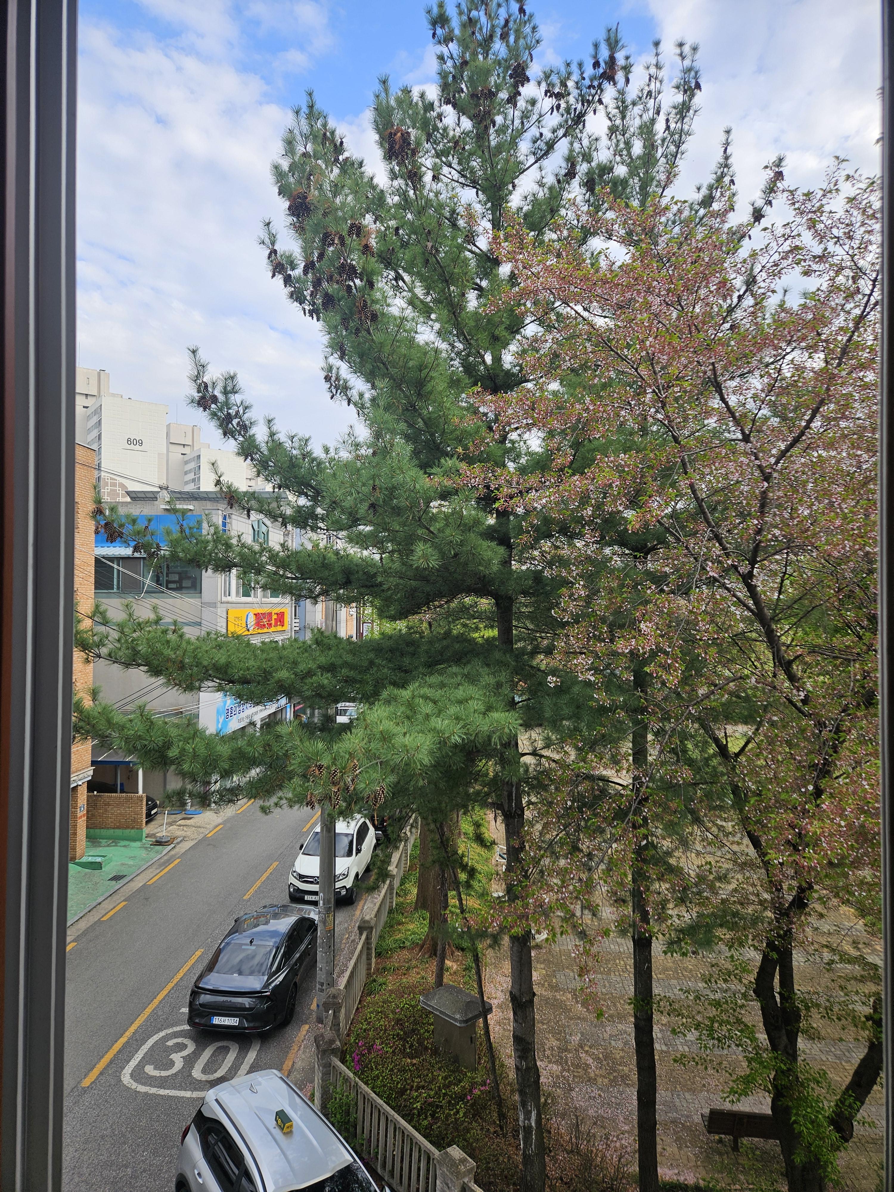 모던원룸 사진 5