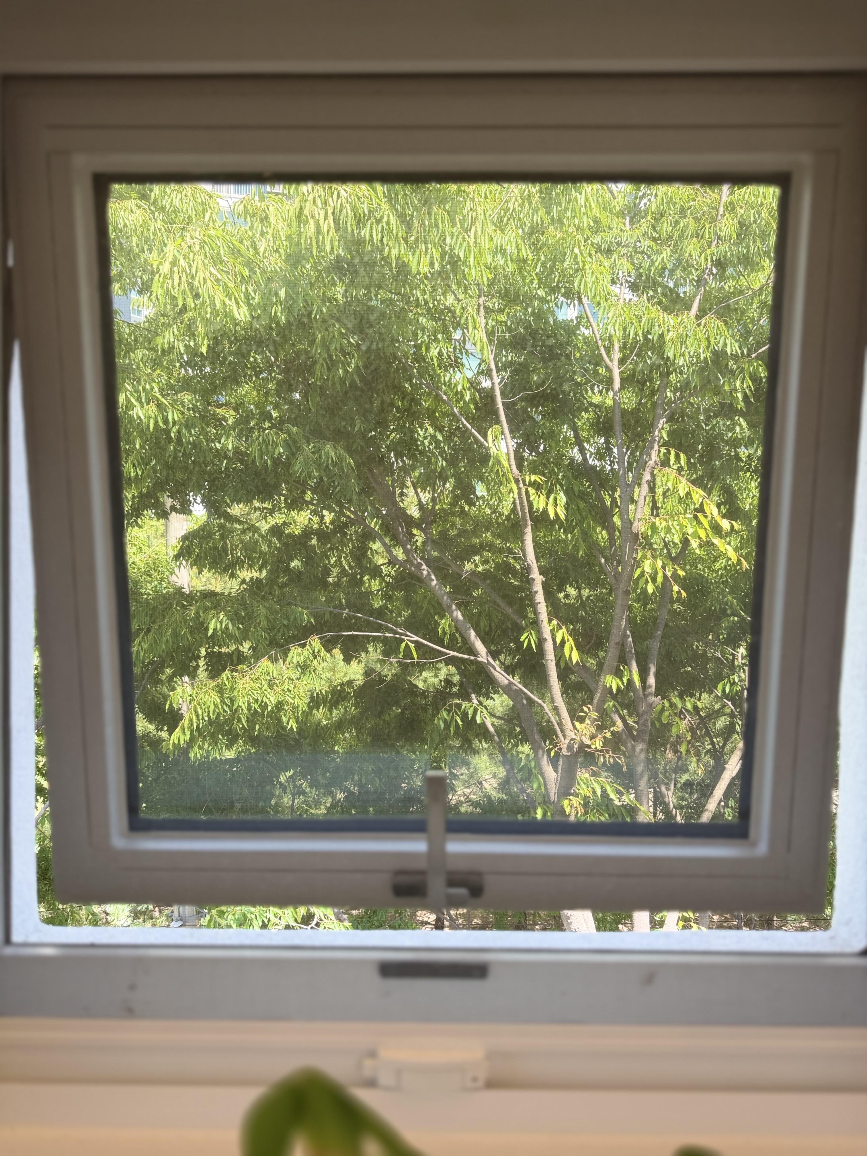 프라이빗3층 테라스하우스 사진 5