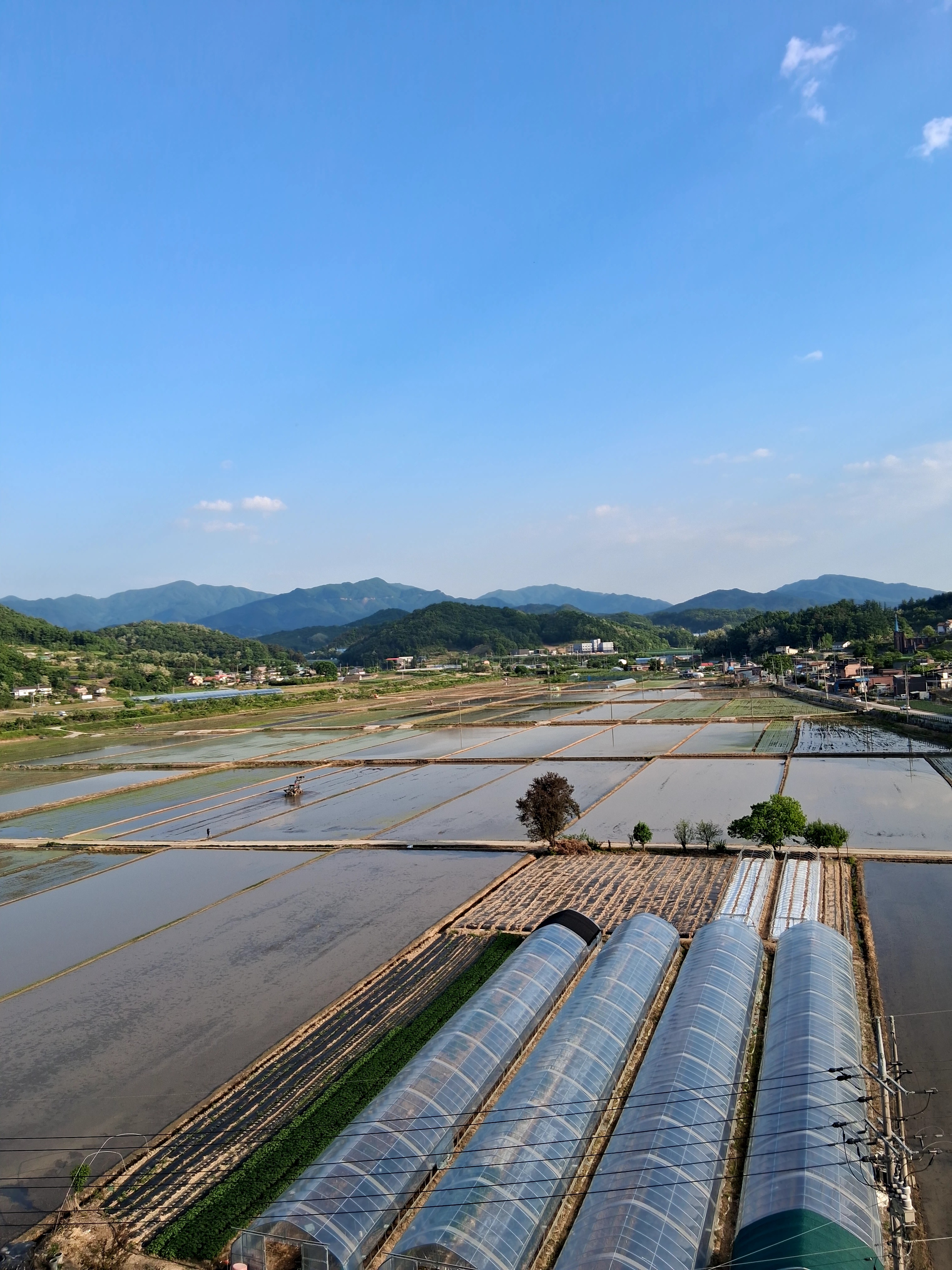 이종여 호스트