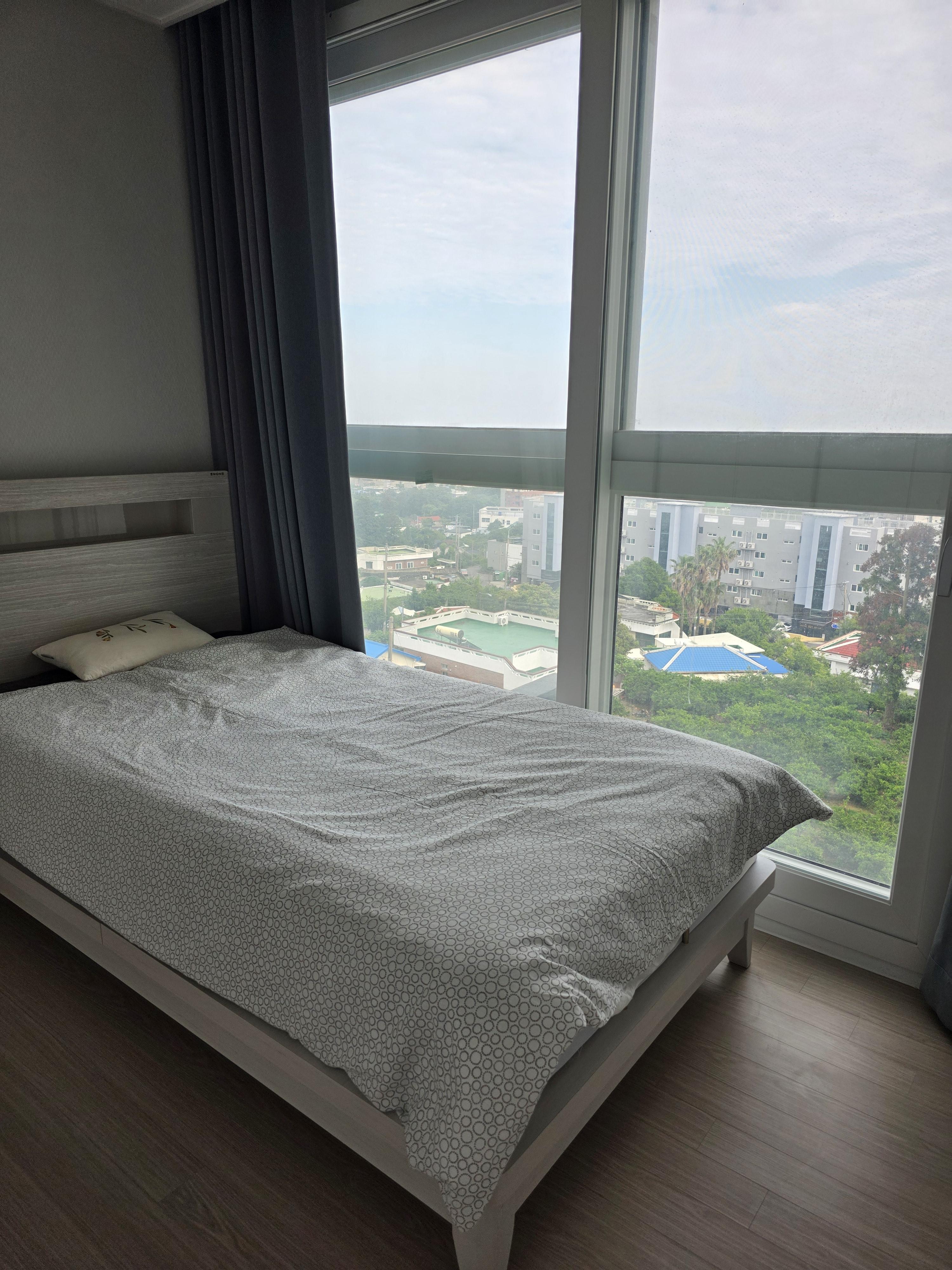 서호더마루 사진 5