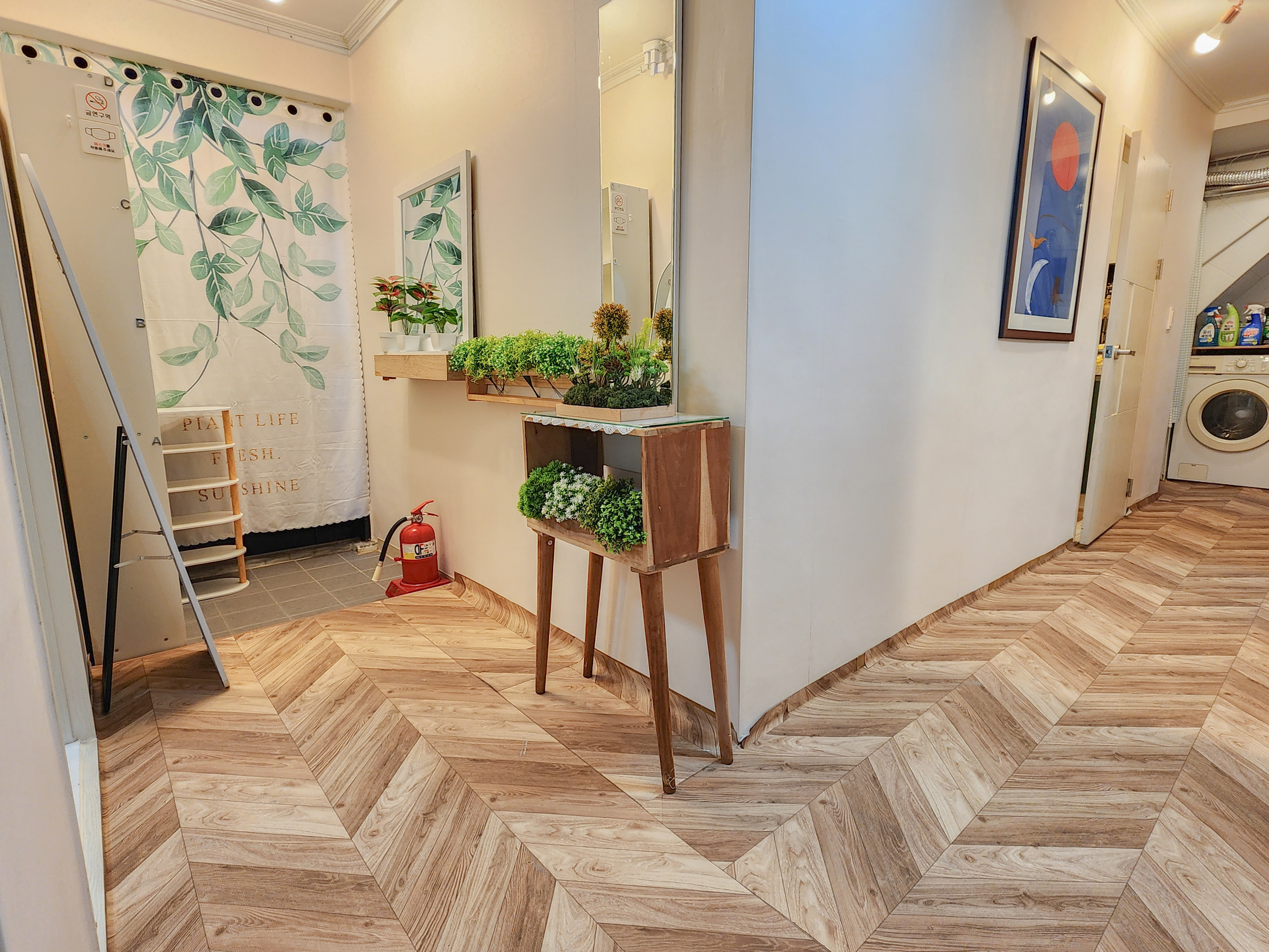Sun house 사진 3