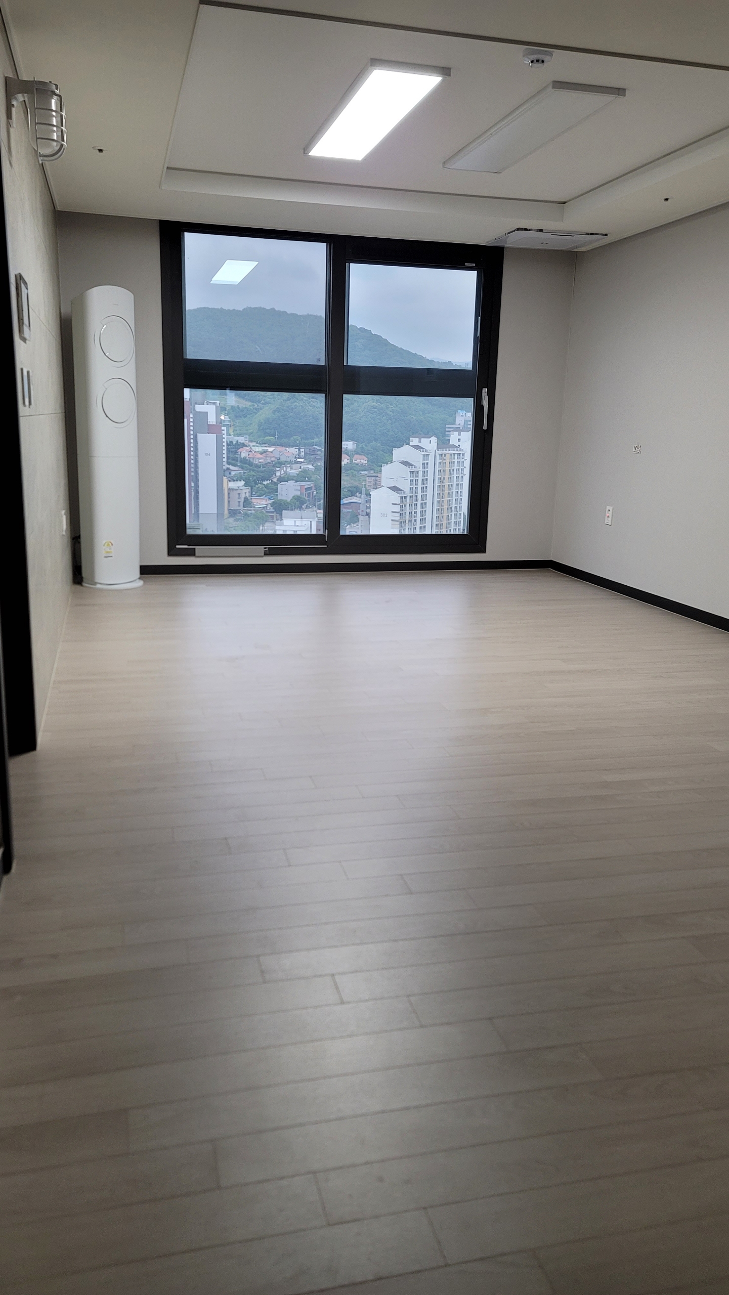 파인아미스  사진 2