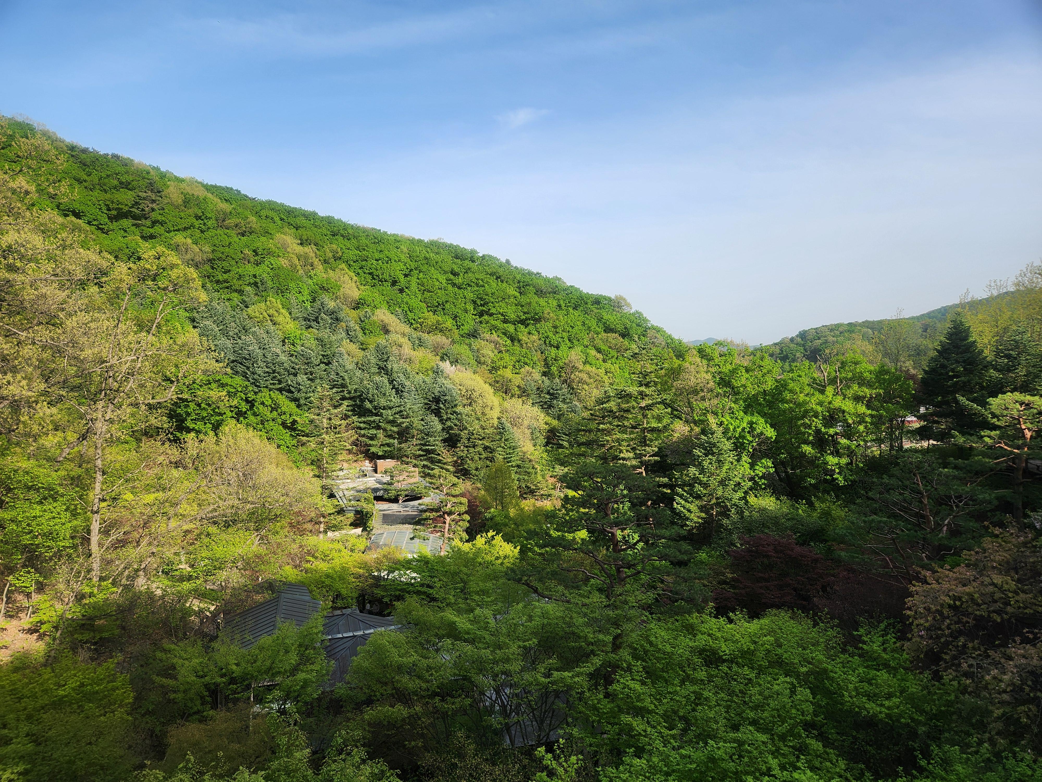이구태 호스트