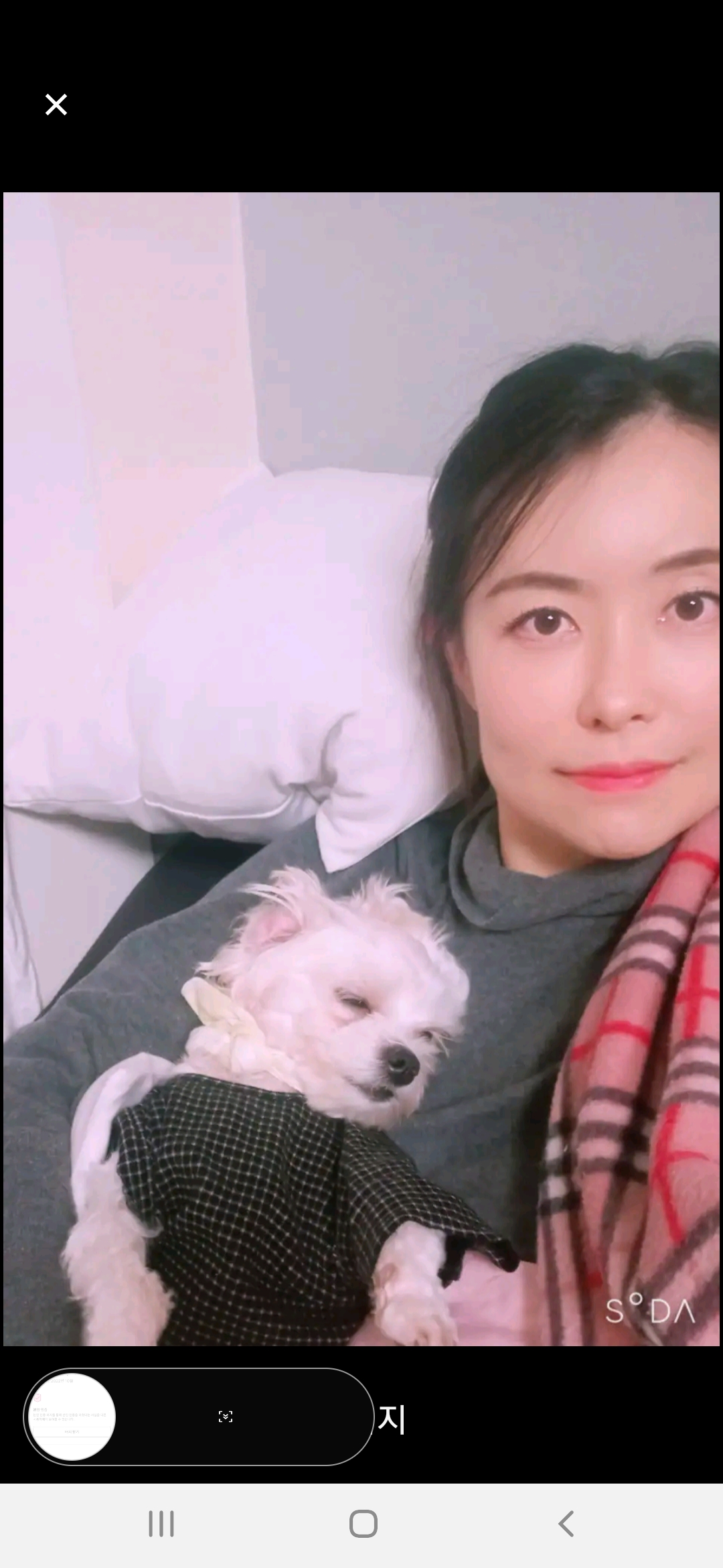 조안나 호스트