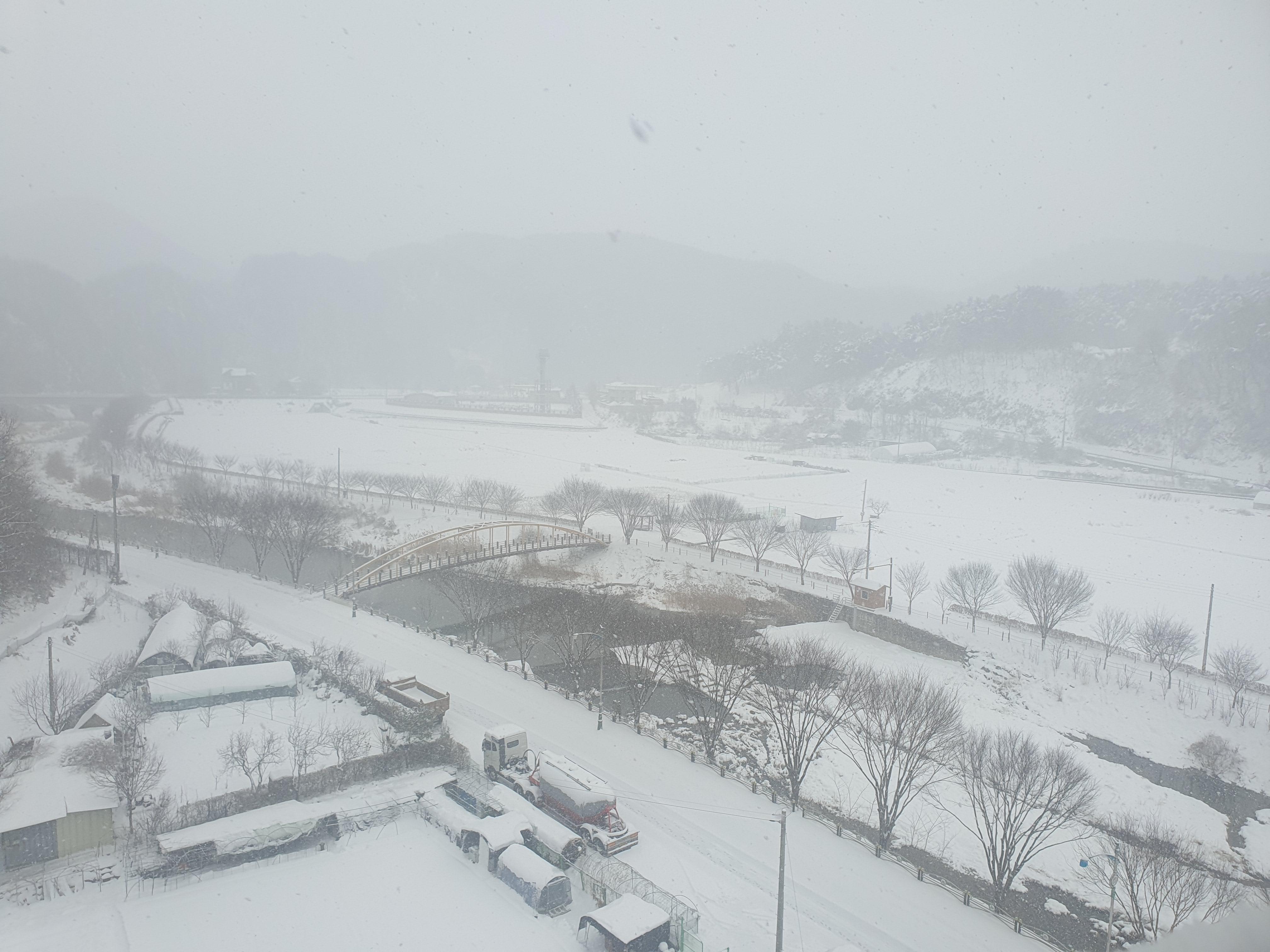 김영순 호스트