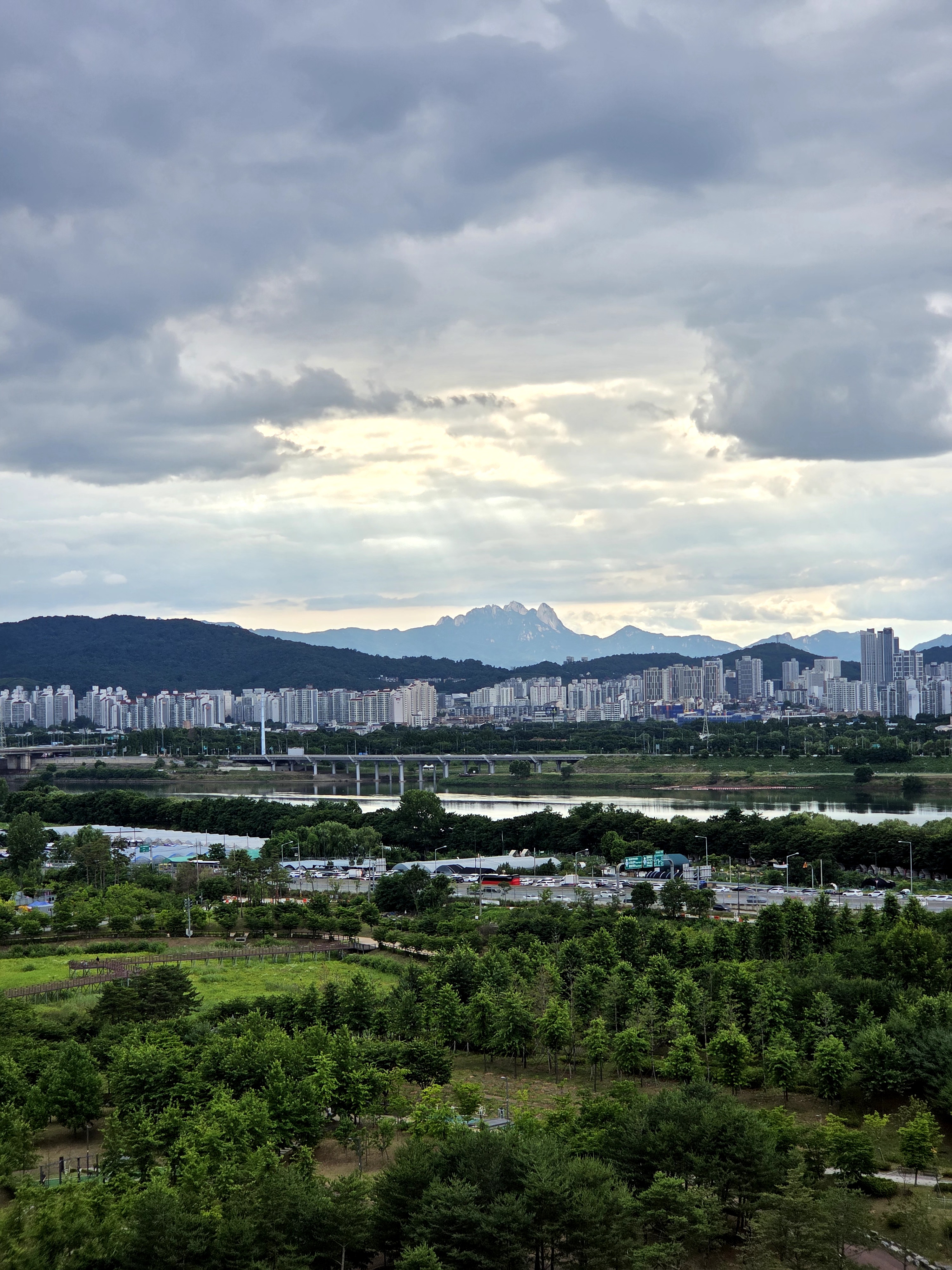 조영학 호스트