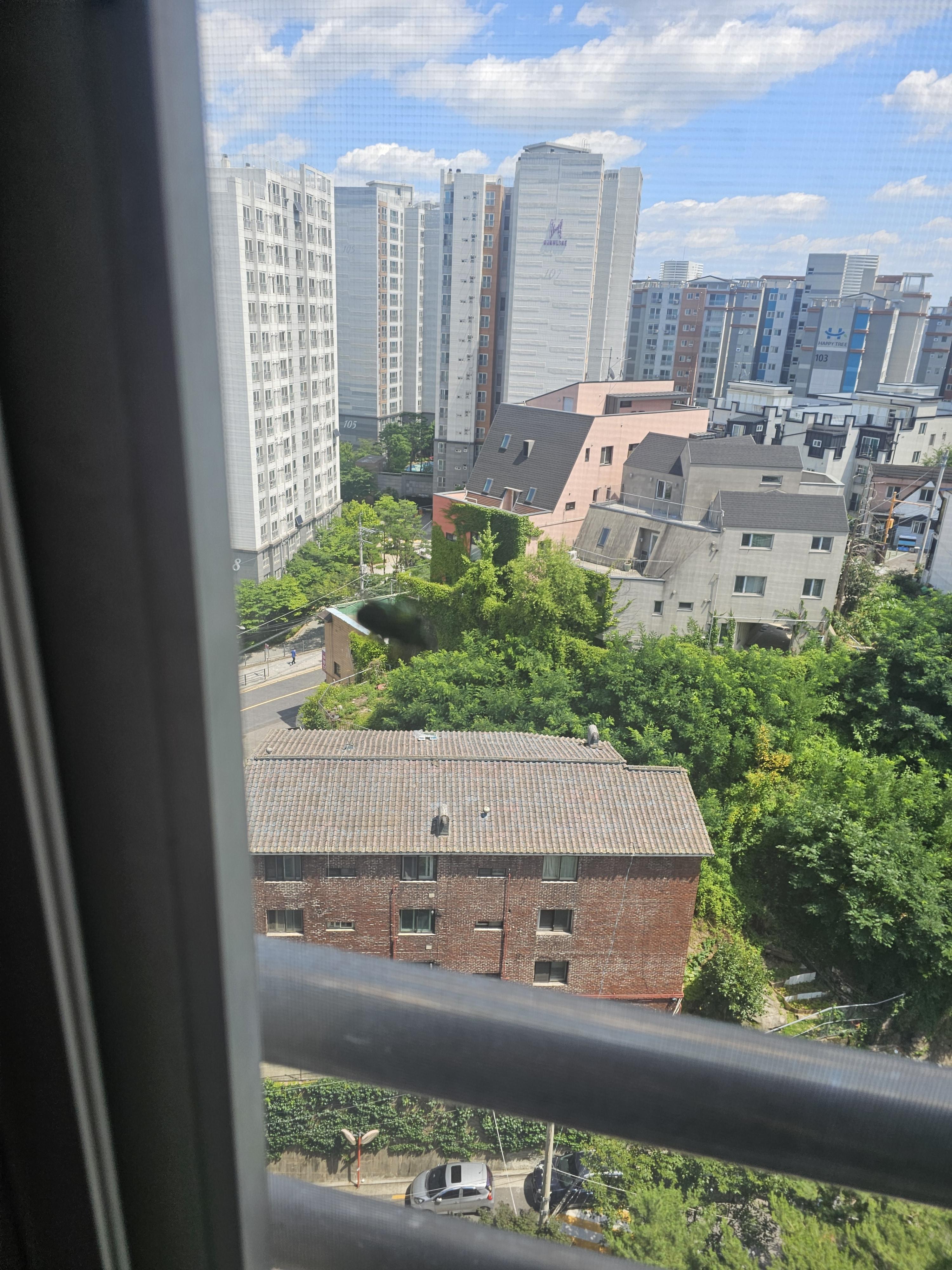 김지한 호스트