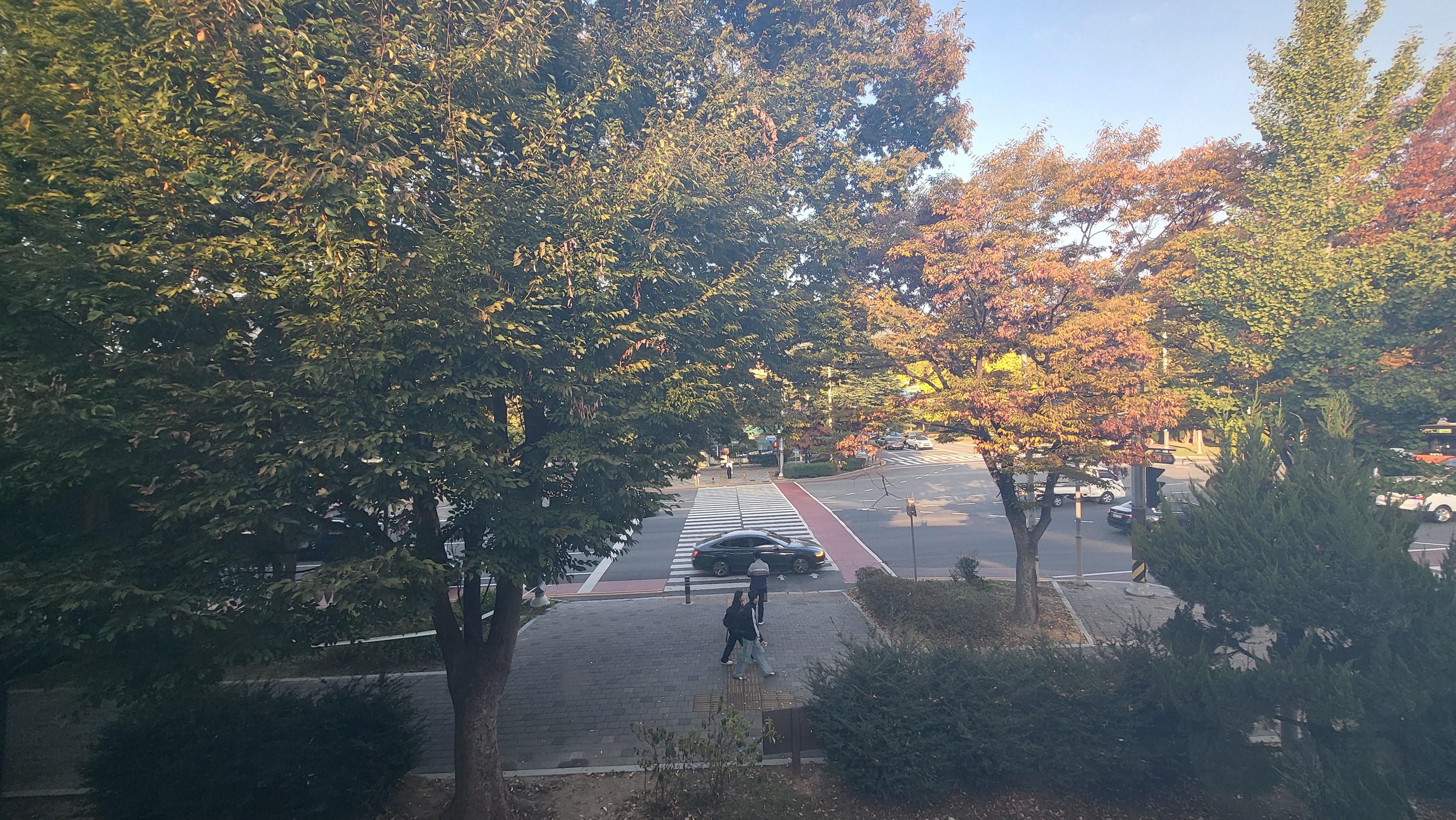 오브셀라옆집 사진 5