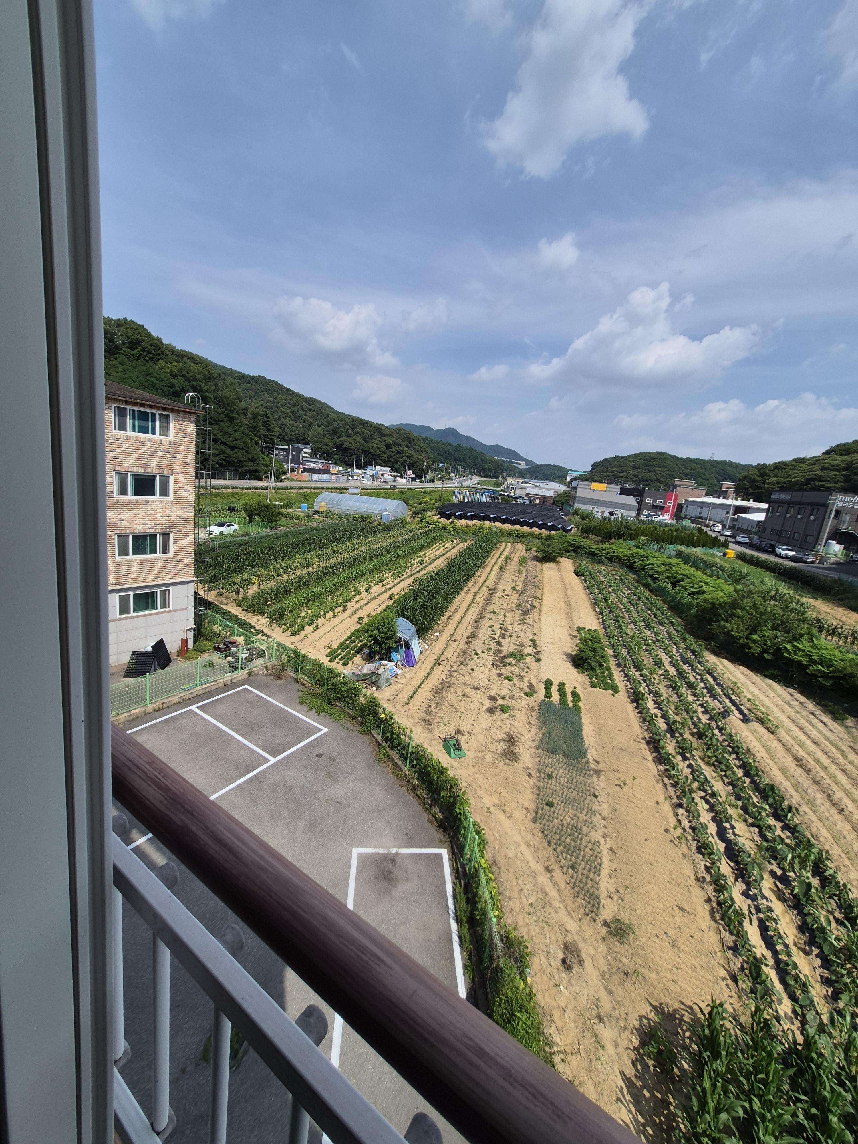 삼성주택 사진 5